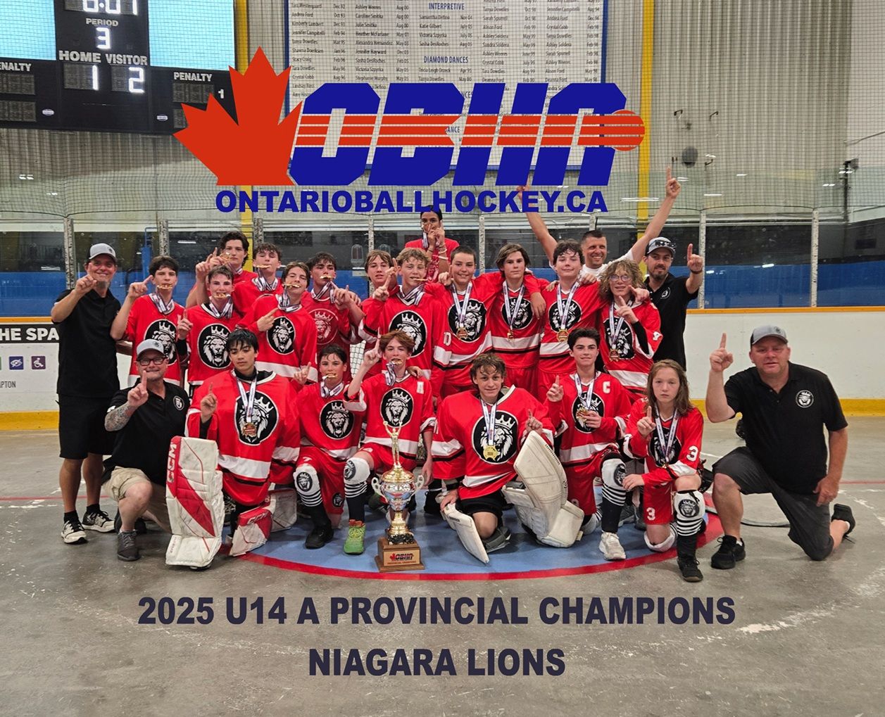 Ontario - 2025 U14 A Provincial Champions, Niagara Lions # ...