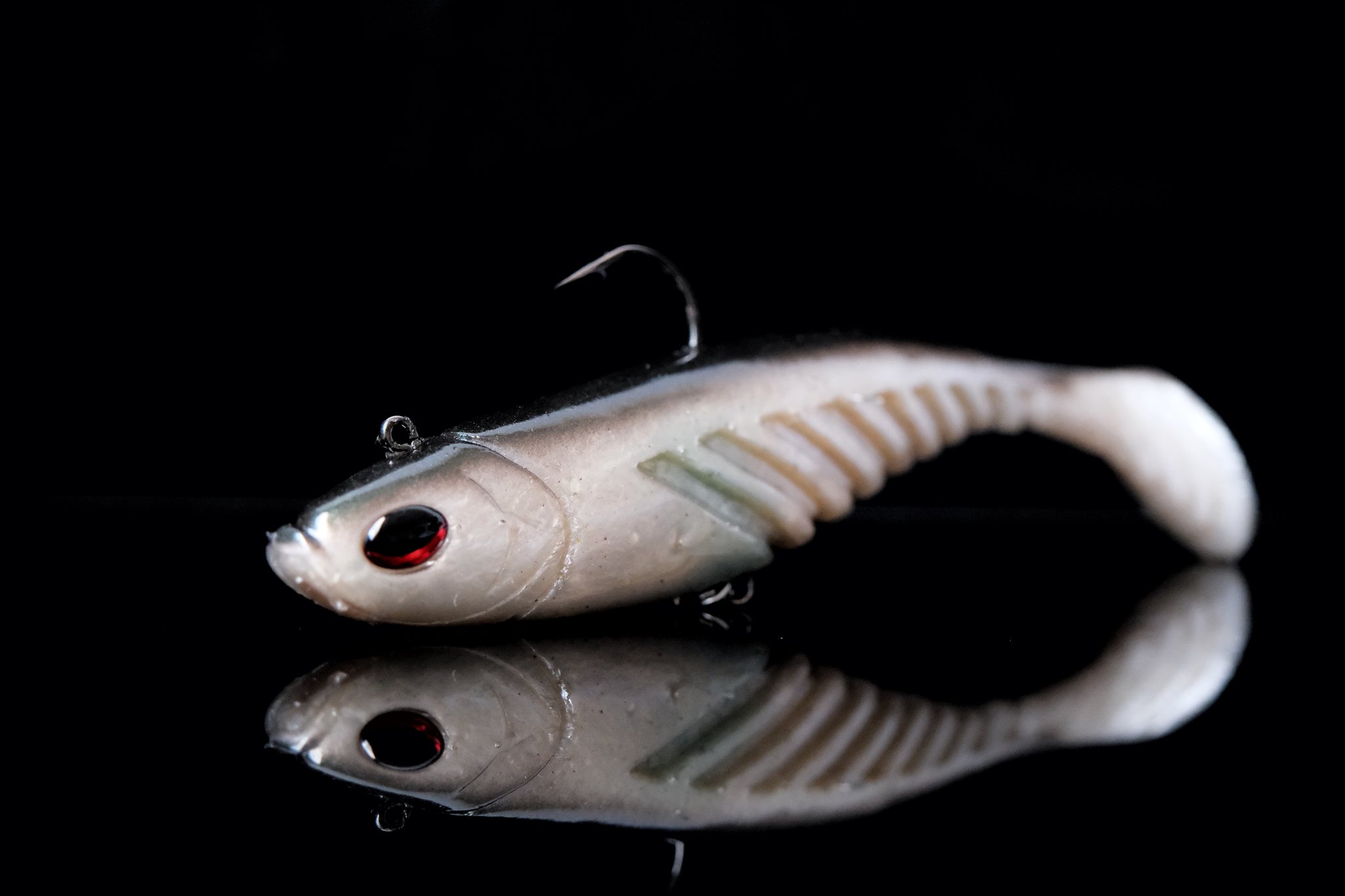GIANT RIPPLE *** Le giant #ripple,... - Fish & Ship Shop | Facebook