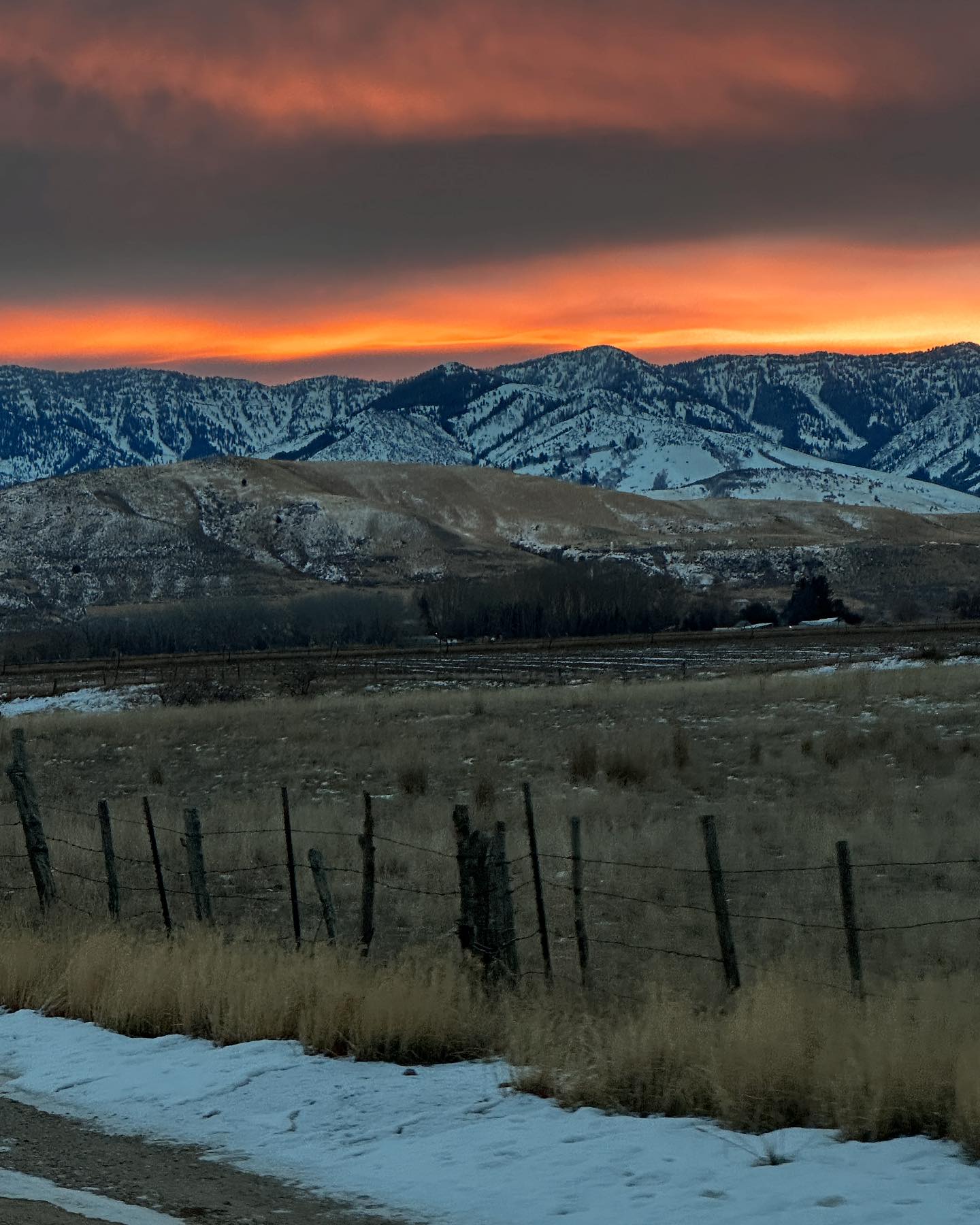 Red Poppy Ranch