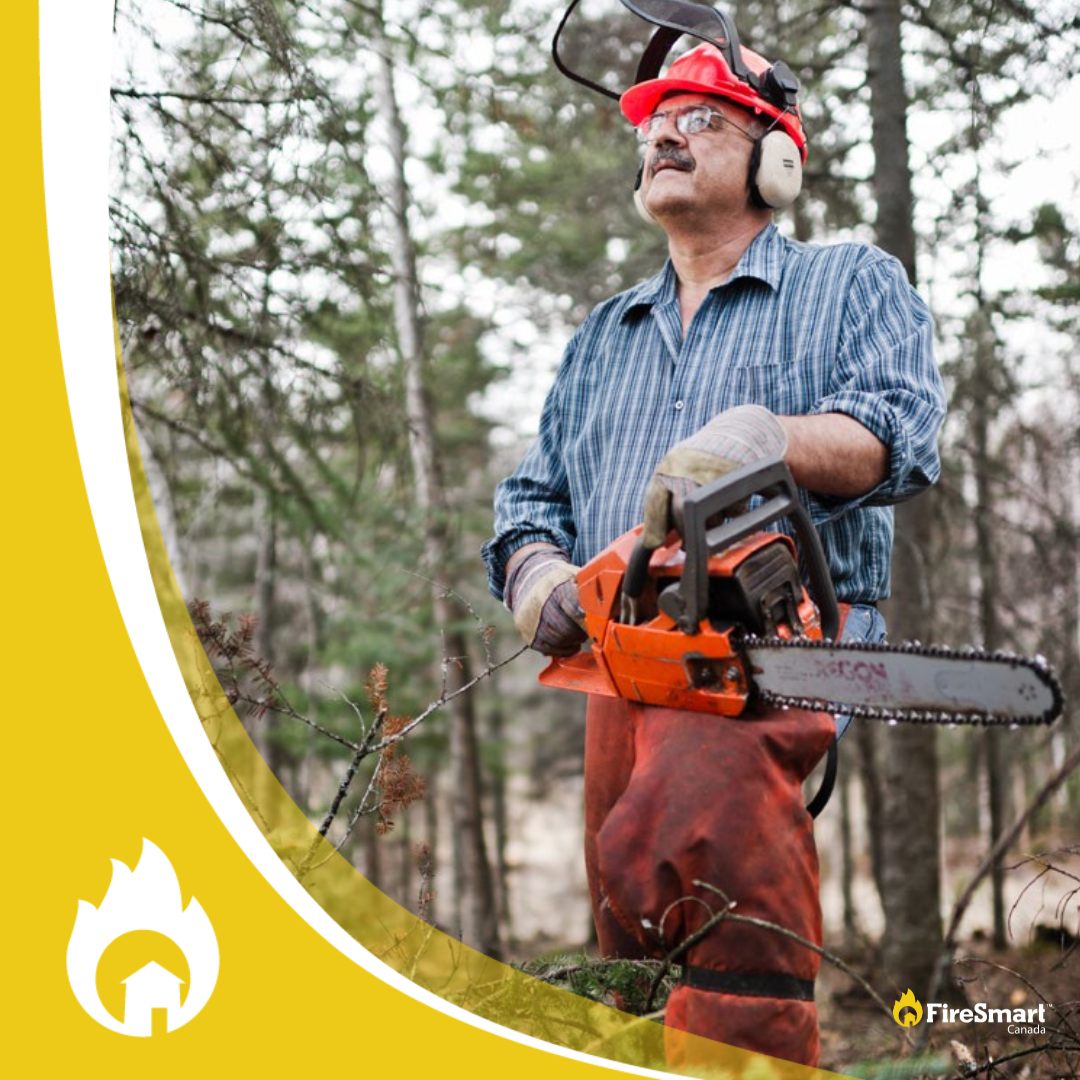 FireSmart - 🌳 Did you know that winter is the best time of year to ...