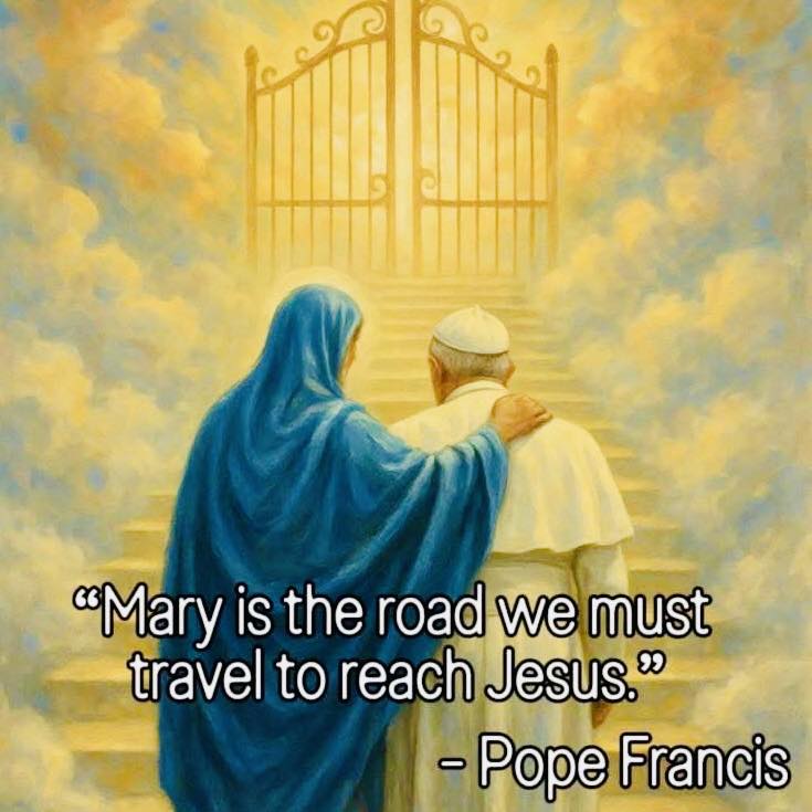 Diocesan - "Mary is the road we must travel to reach Jesus." – Pope ...