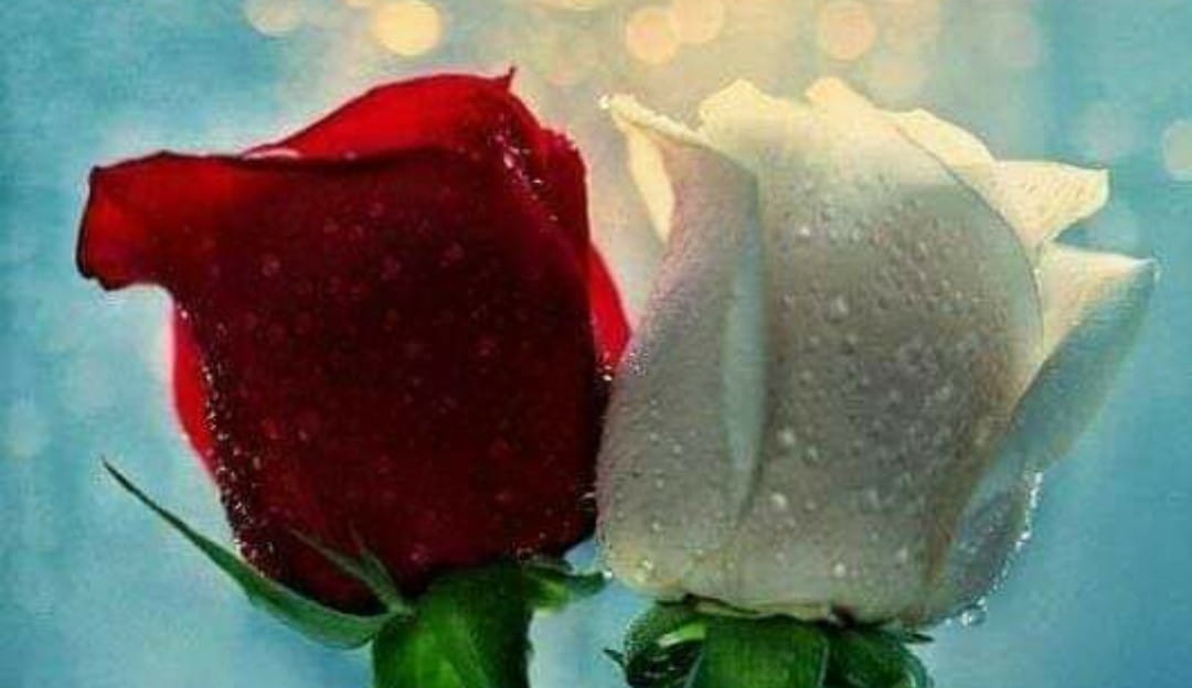 Hadi Raza