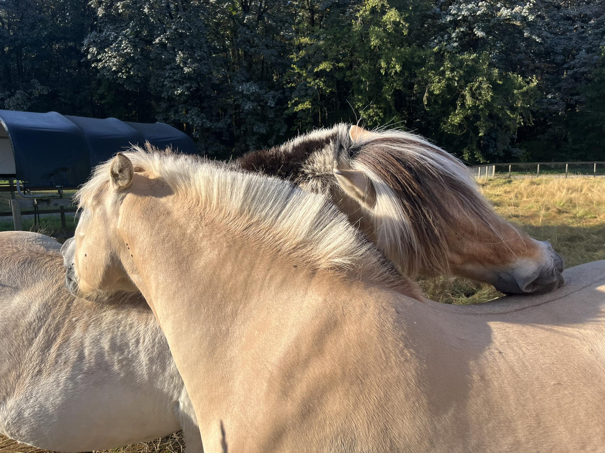 Footnote Farm | Langley BC