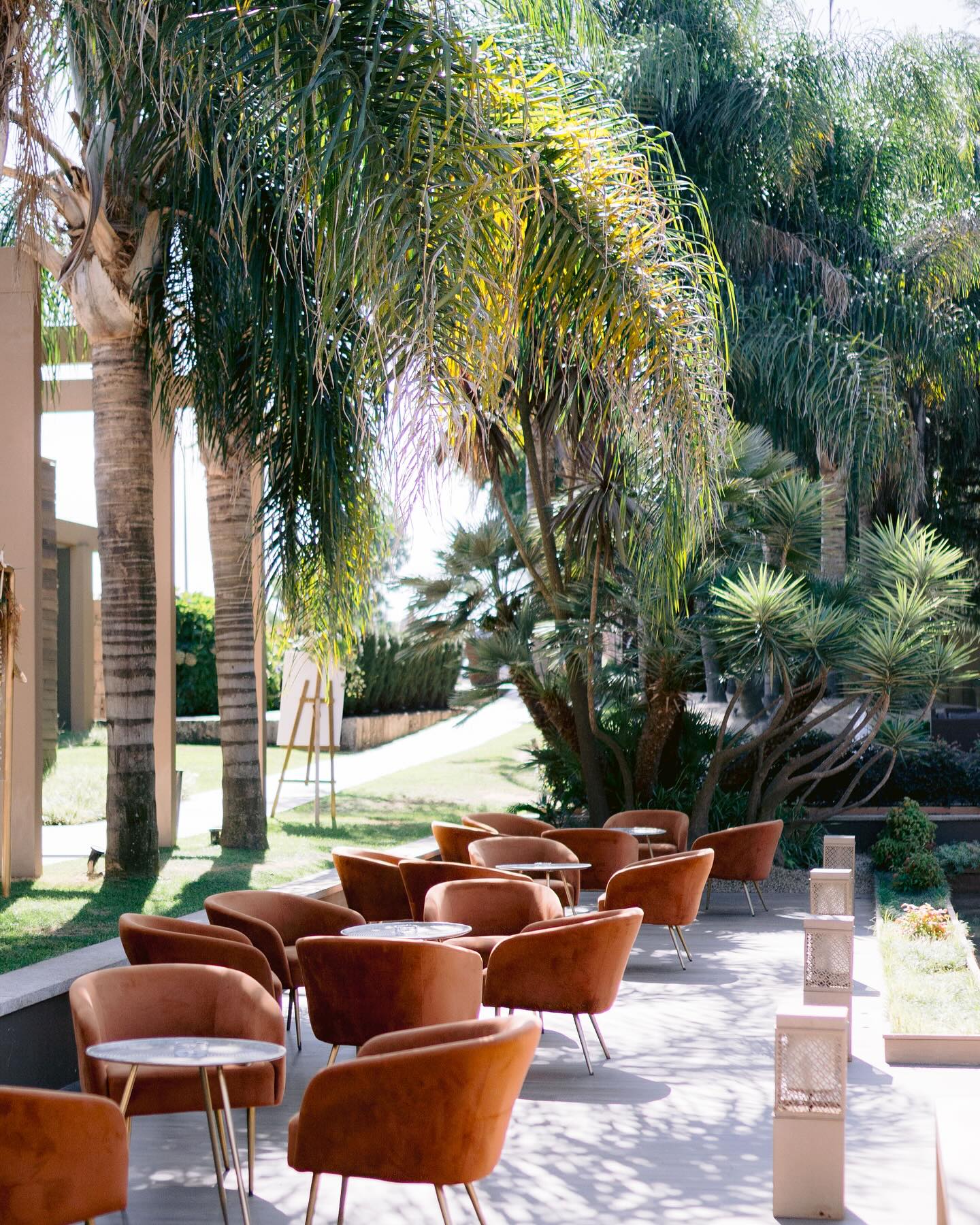 Quinta do Rio | Aves