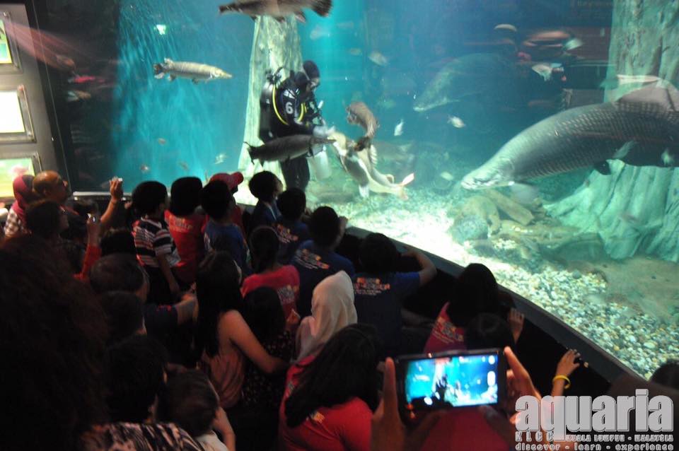 Aquaria Klcc Wanna Have An Overnight Experience At Aquaria Klcc With Fun Filled Activities Spend The Whole Day At Aquaria Klcc Learning Interesting Subject Wake Up Next To Sea Turtles Sand
