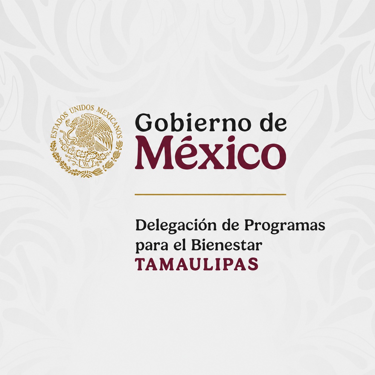 T... - Delegación de Programas para el Bienestar en Tamaulipas | Facebook