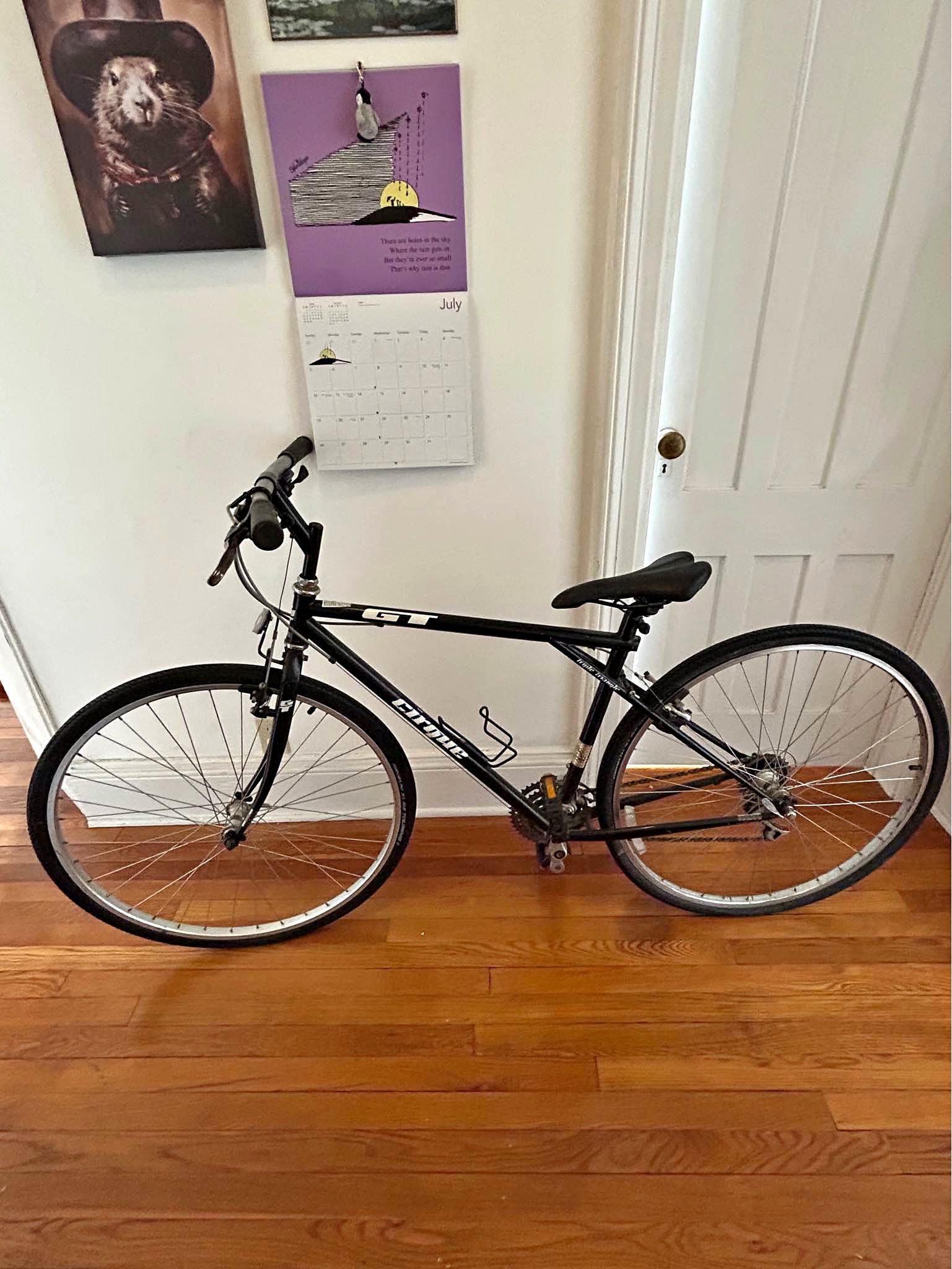 gt hybrid bicycle component changes do occur for various reasons and there may be brief delays on site updates GT Hybrid Bike