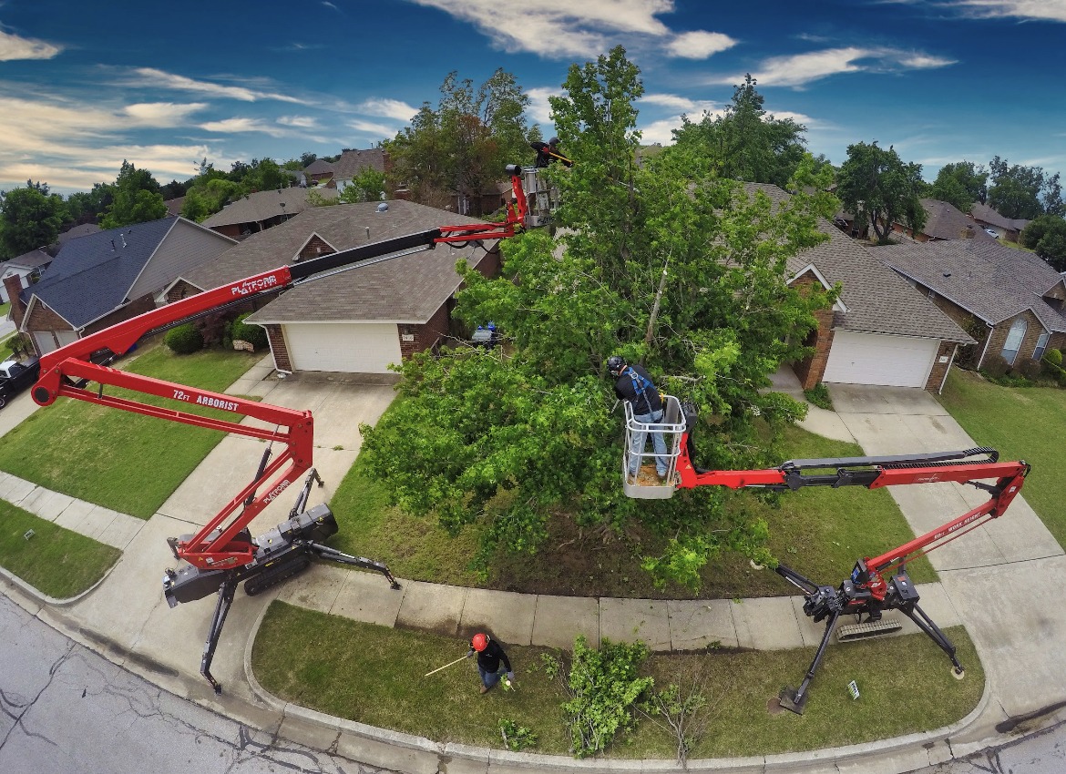 Arbor Image Tree Care | Oklahoma City OK