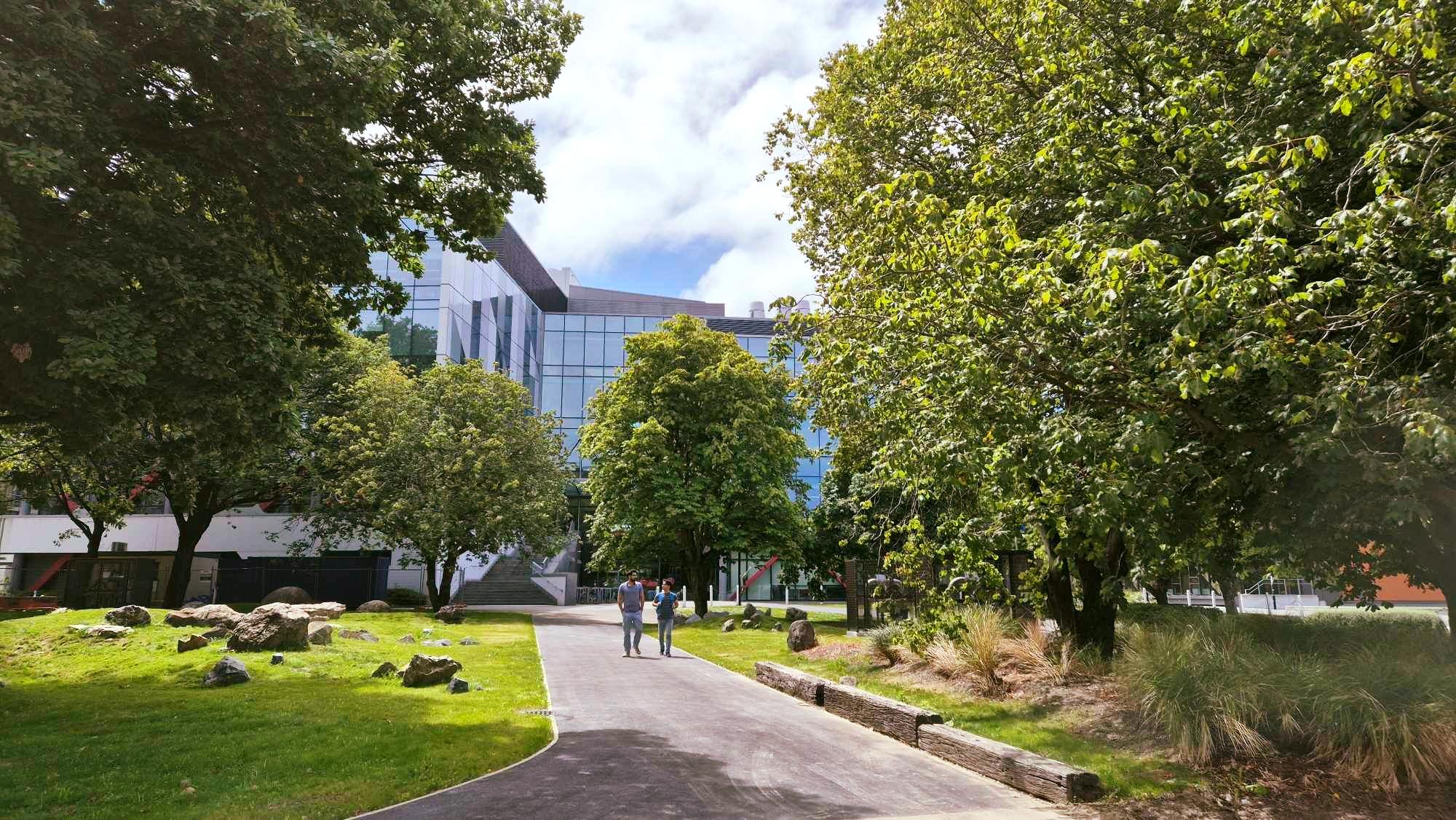 University - Our campus just got even more beautiful! 🌳💚 How amazing is ...