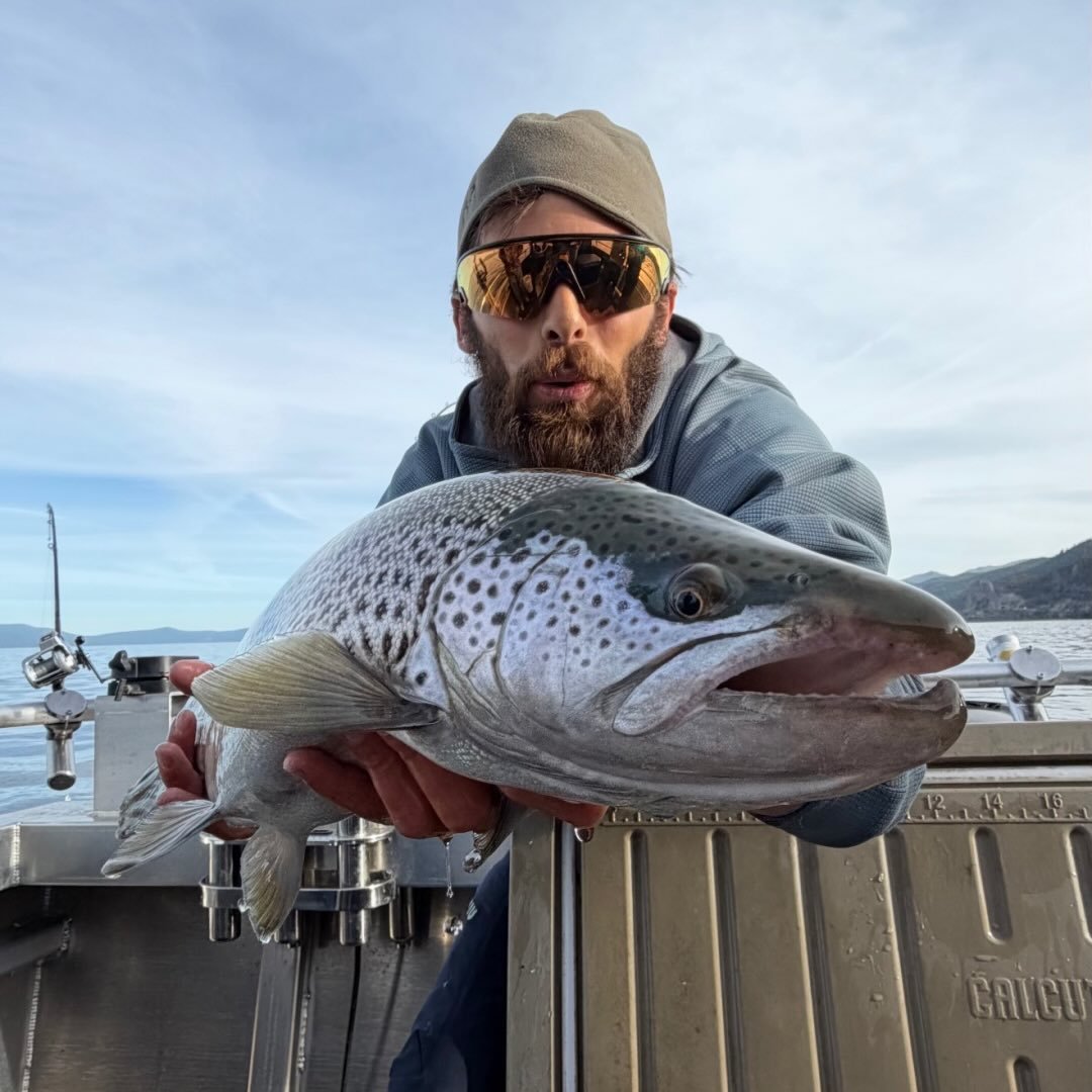 I Love Lake Tahoe | Red Kokanee is a huge indicator they are ready to ...