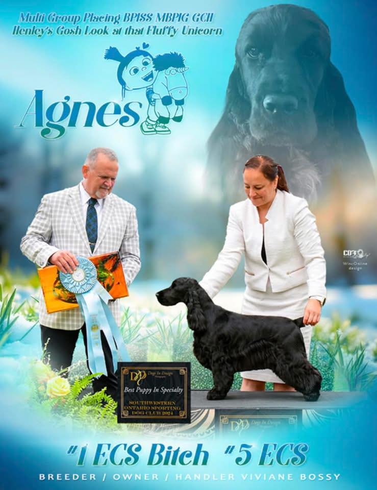 Puppies a.v.a.i.l.b.l.e in Michigan... - Legacyk Gun Dogs | Facebook