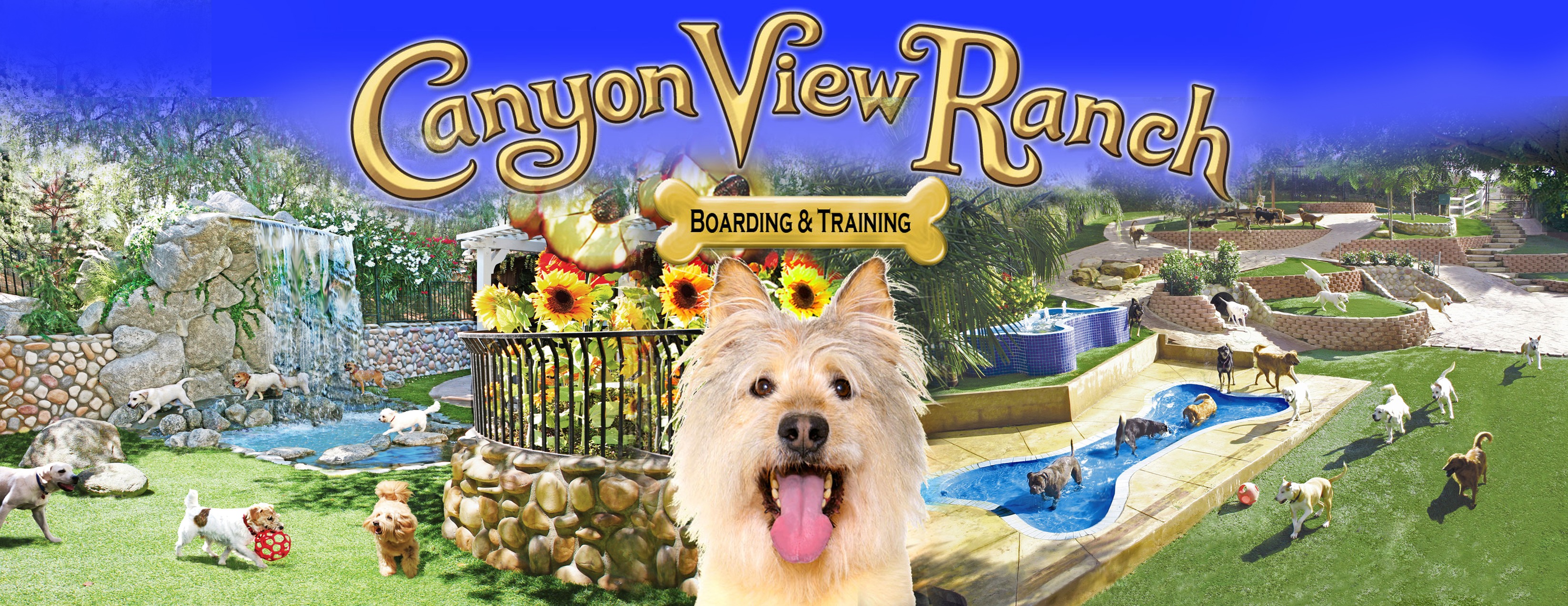Canyon View Ranch | Topanga CA