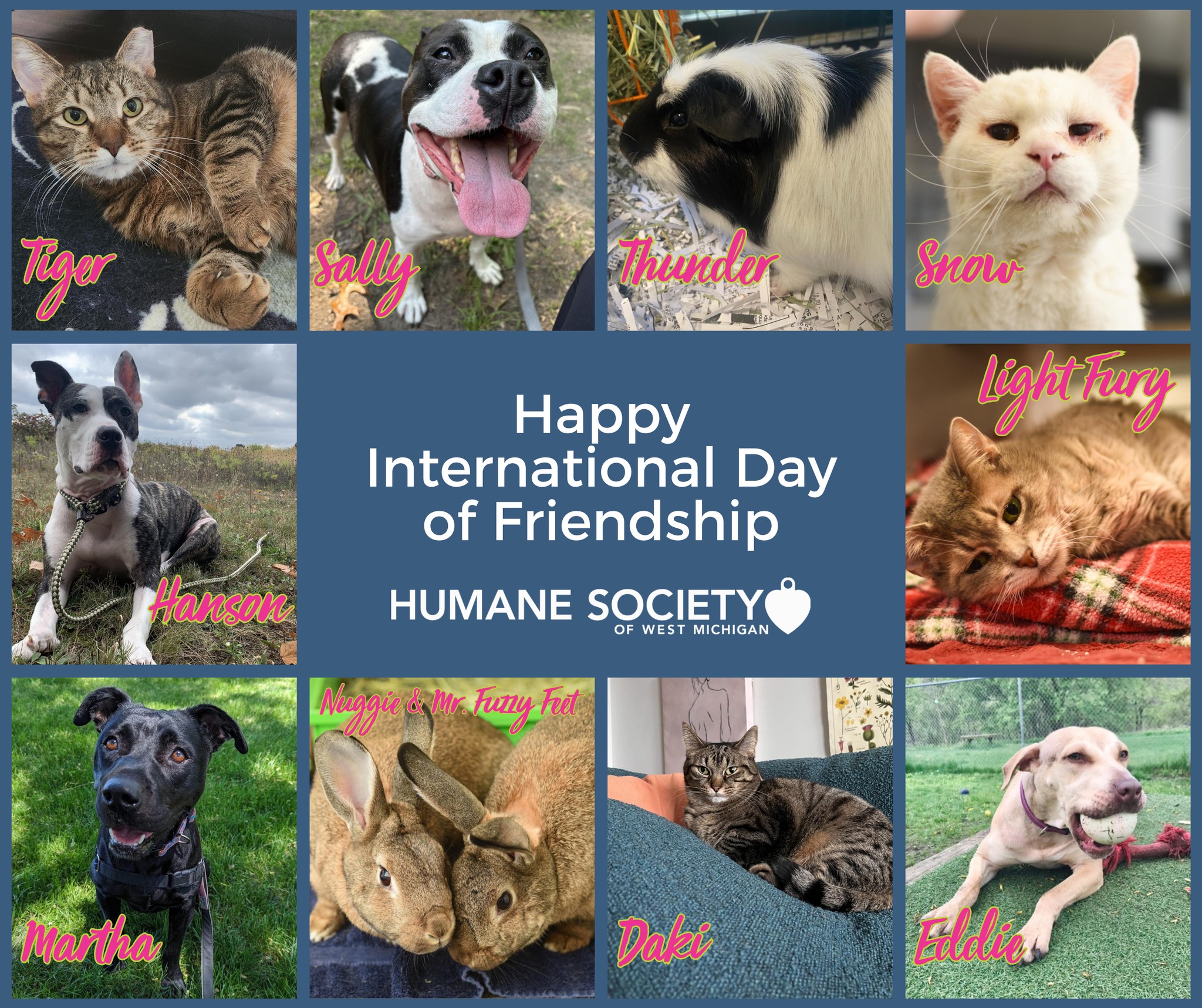 Happy International Day... - Humane Society of West Michigan | Facebook