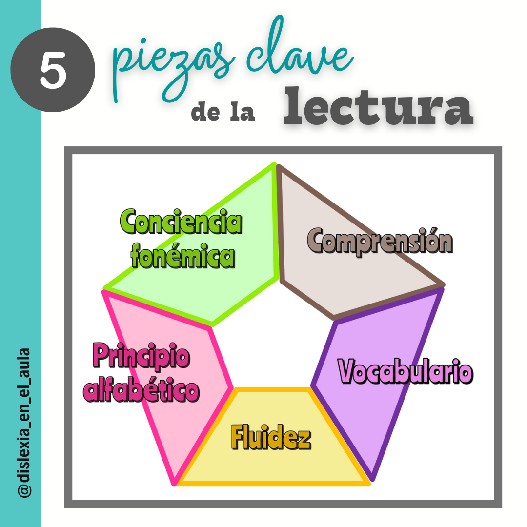 Dislexia - 📌Estos son los cinco elementos esenciales de la lectura 1️⃣ ...