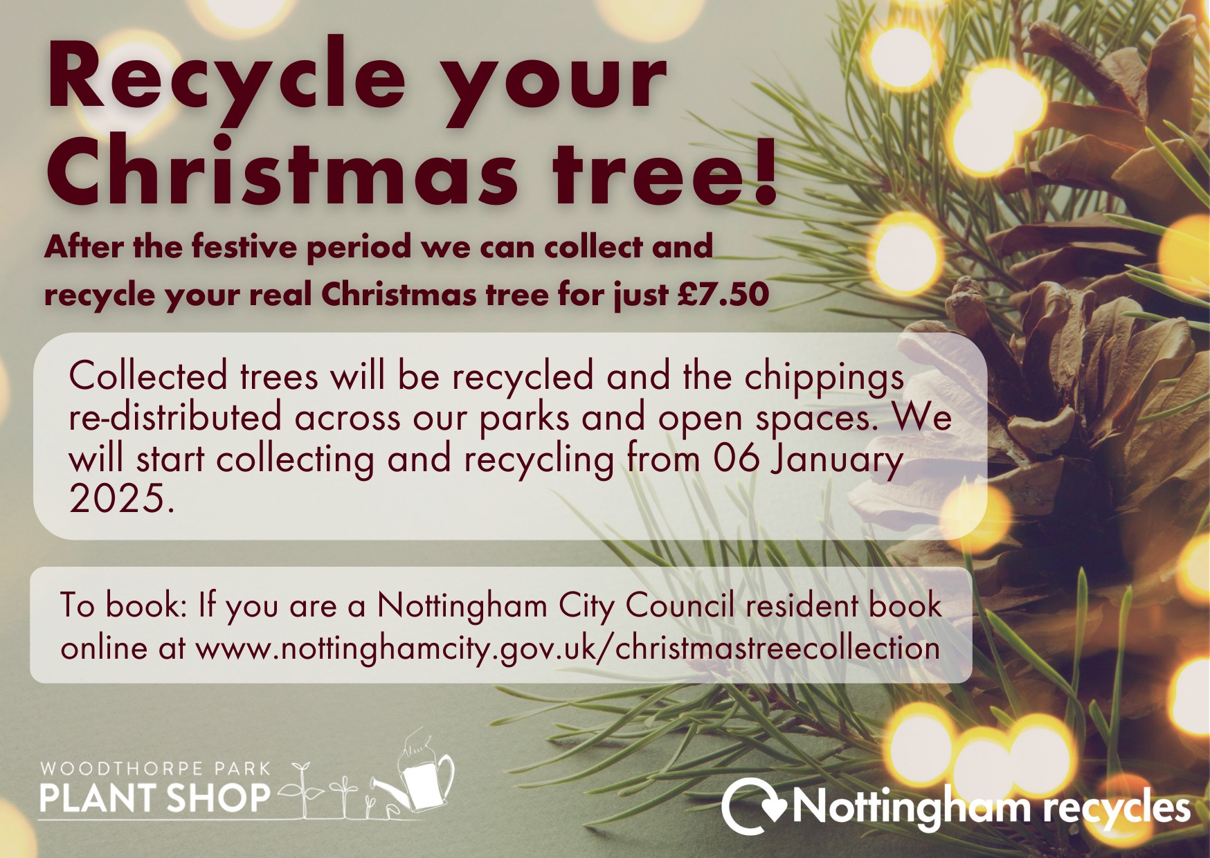 My - 🎄♻️ Recycle your Christmas tree with ease! Nottingham City Council ...