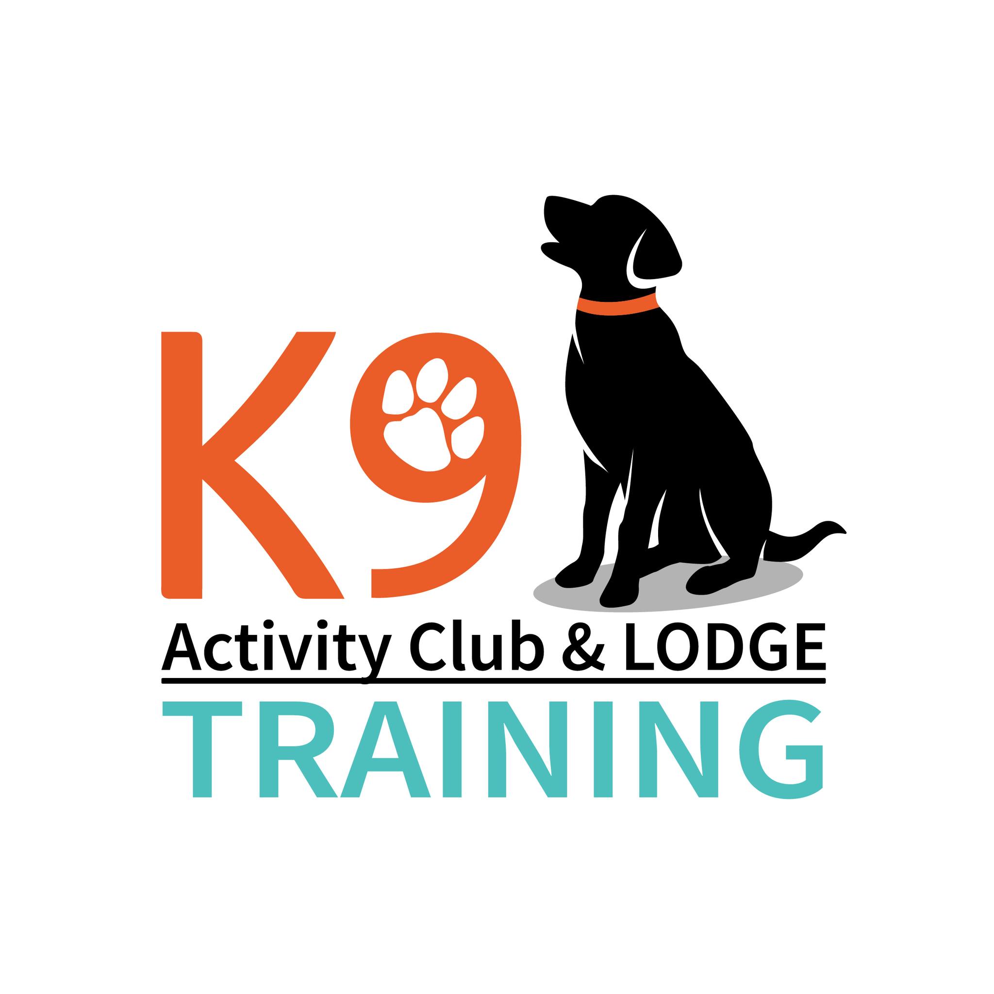 Big progress starts with a plan built just for your dog! 🐶💙 Our ...