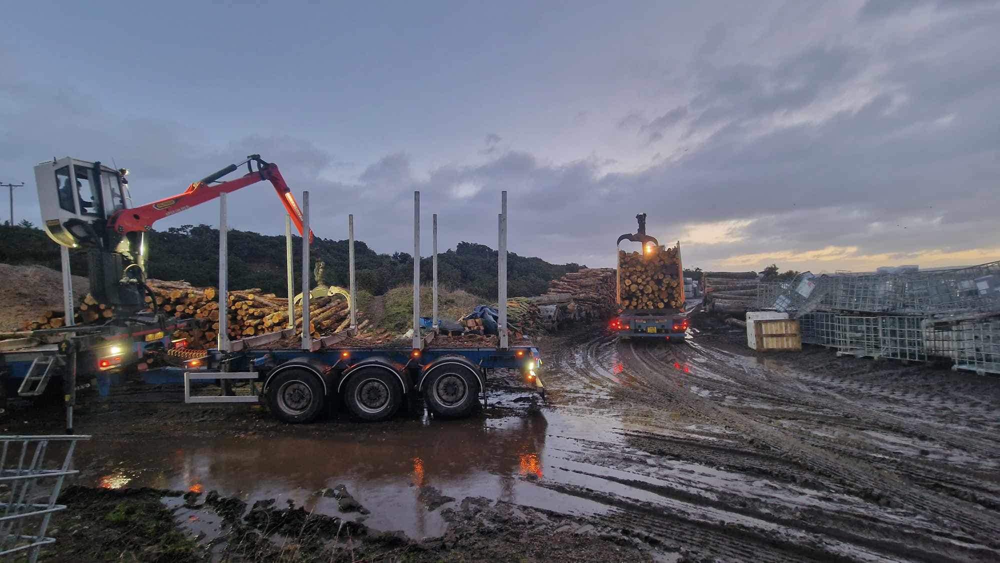 J.F Nesbitt timber extraction and firewood