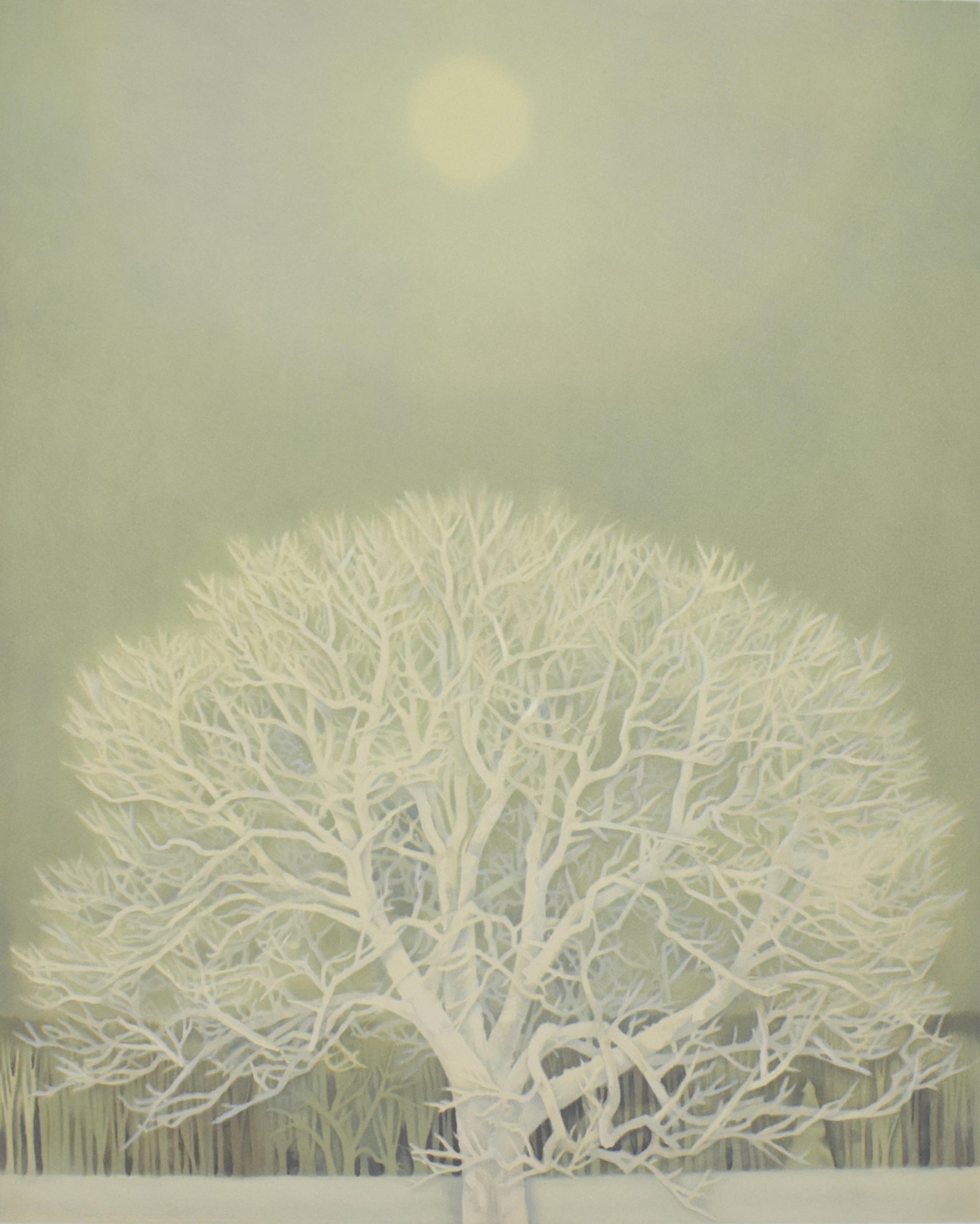 ③ 雪華です！ Jaded - 'Fuyuka' (冬華), representing winter; literally meaning