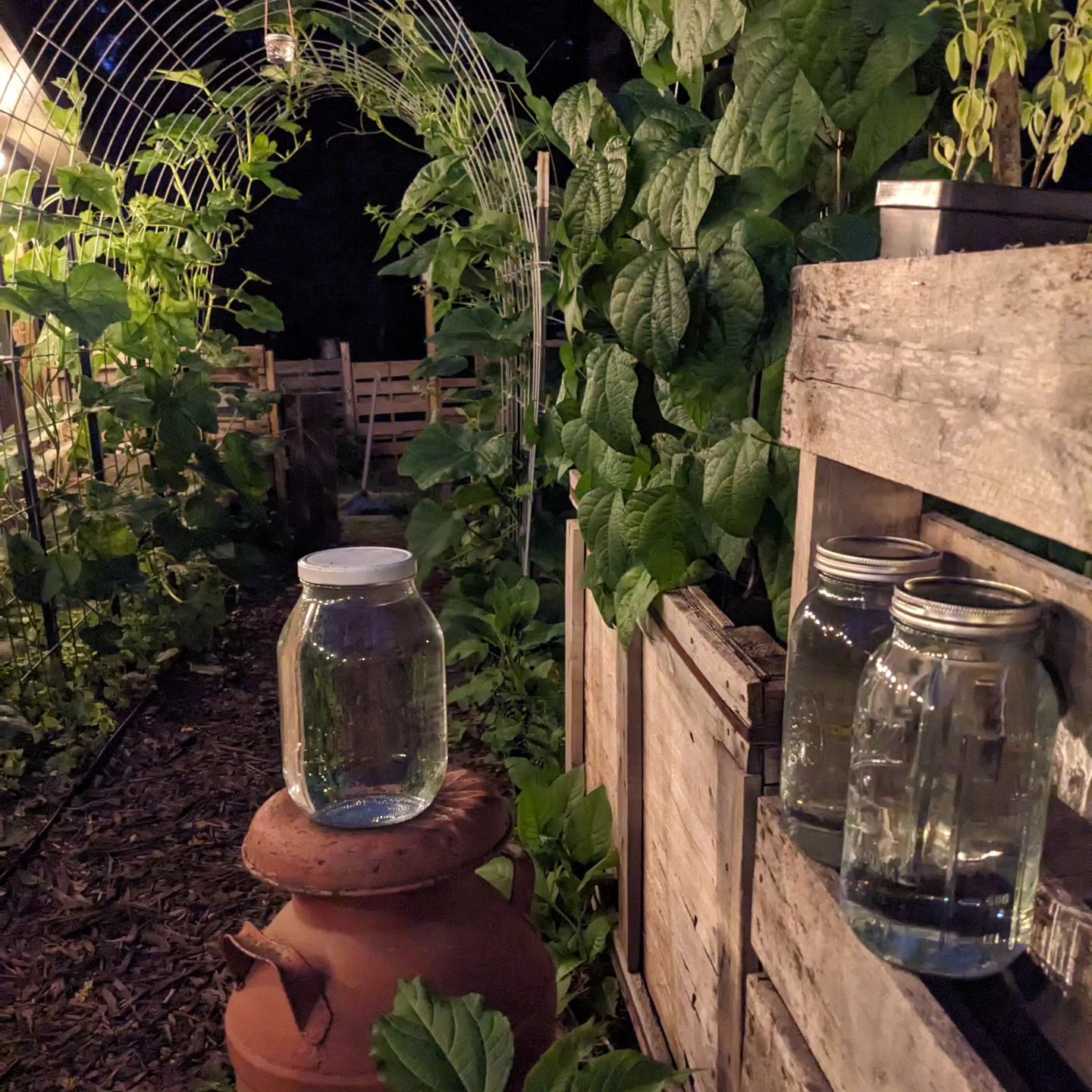 Elixir House - Charging spring water with the energy of... | Facebook