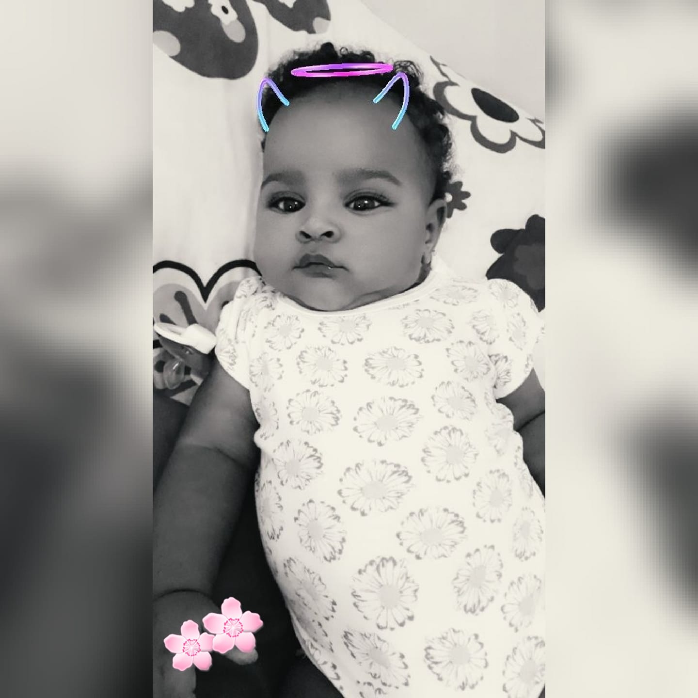 Bayoleth Dl Rosa