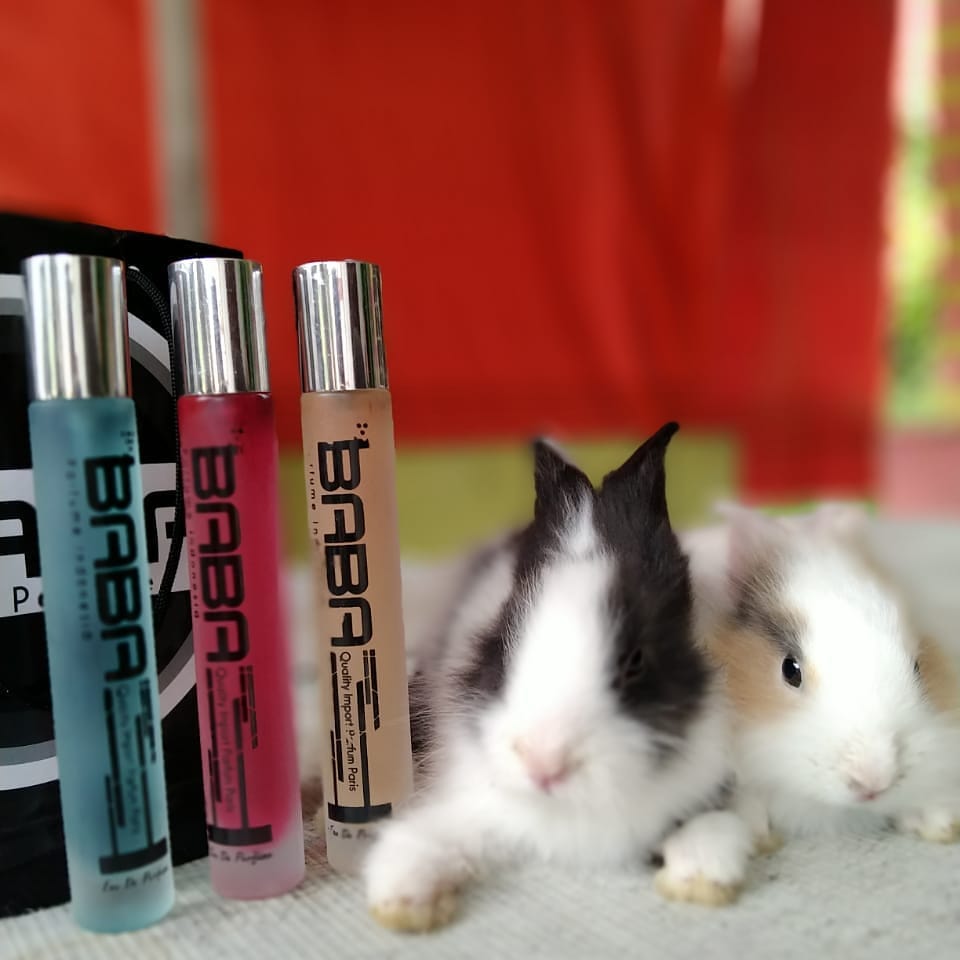 Reseller & Distributor Baba Parfume Indonesia