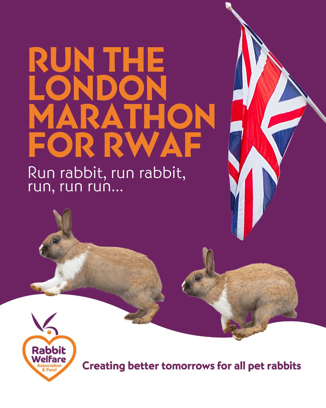 The Rabbit Welfare Association and Fund - Are you running the TCS ...