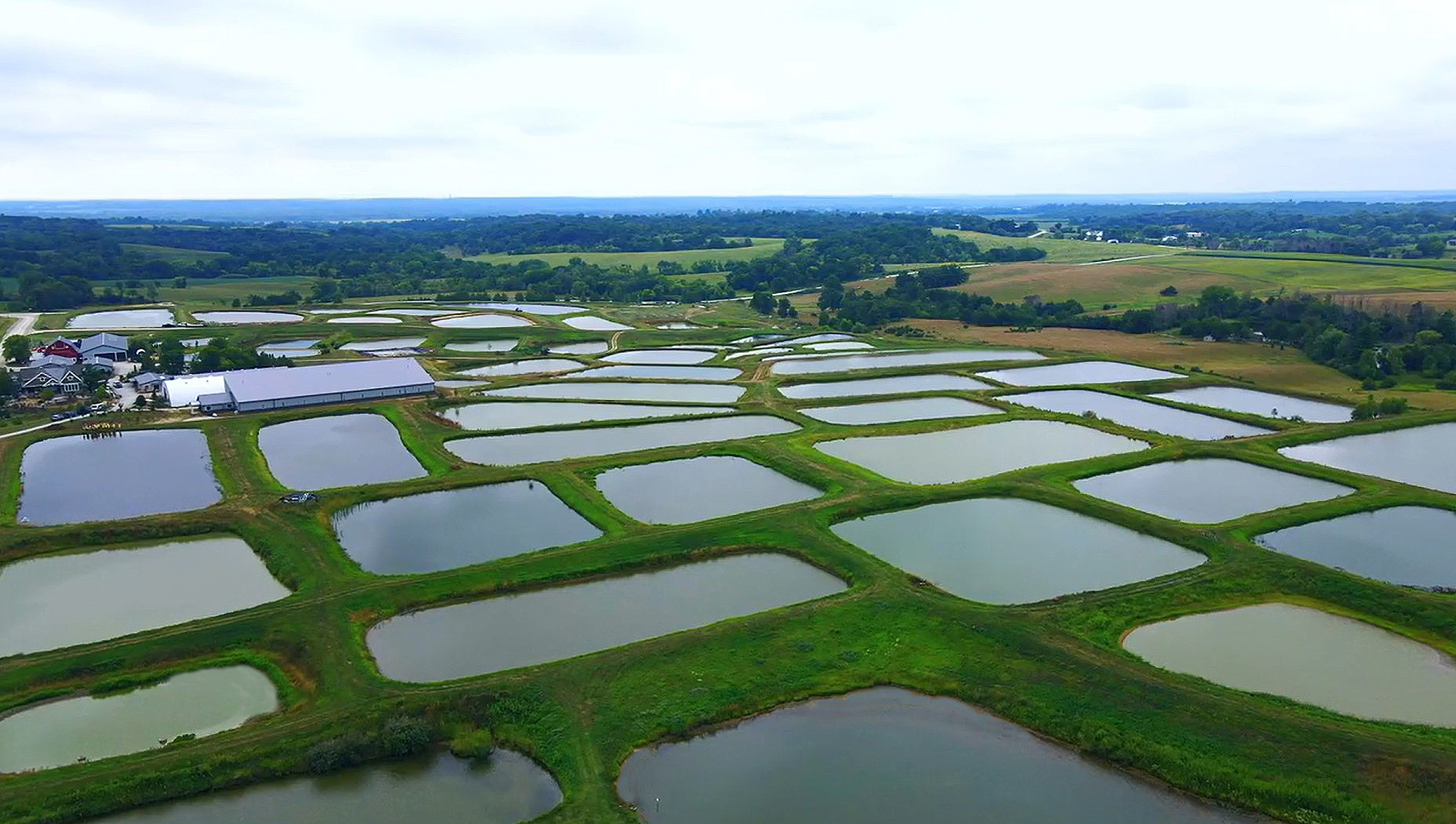 Strange Fish Behavior, Finally Explained Fish often swim in circles as ...