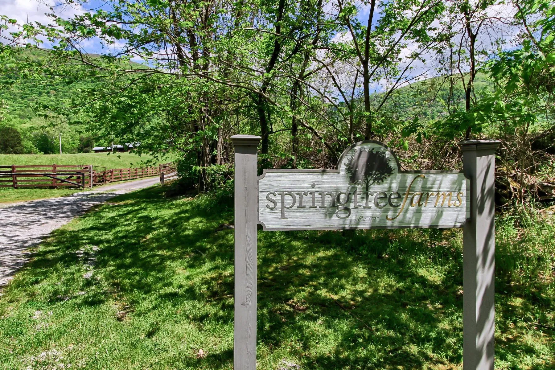 Springtree Farms | Pikeville TN
