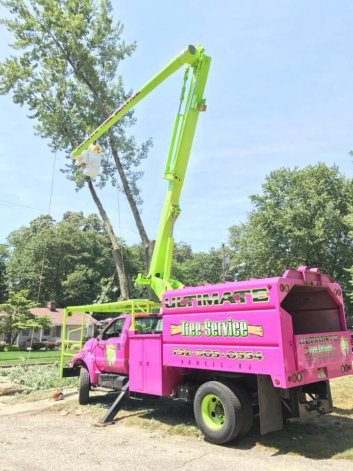 Ultimate Tree Service | Howell NJ