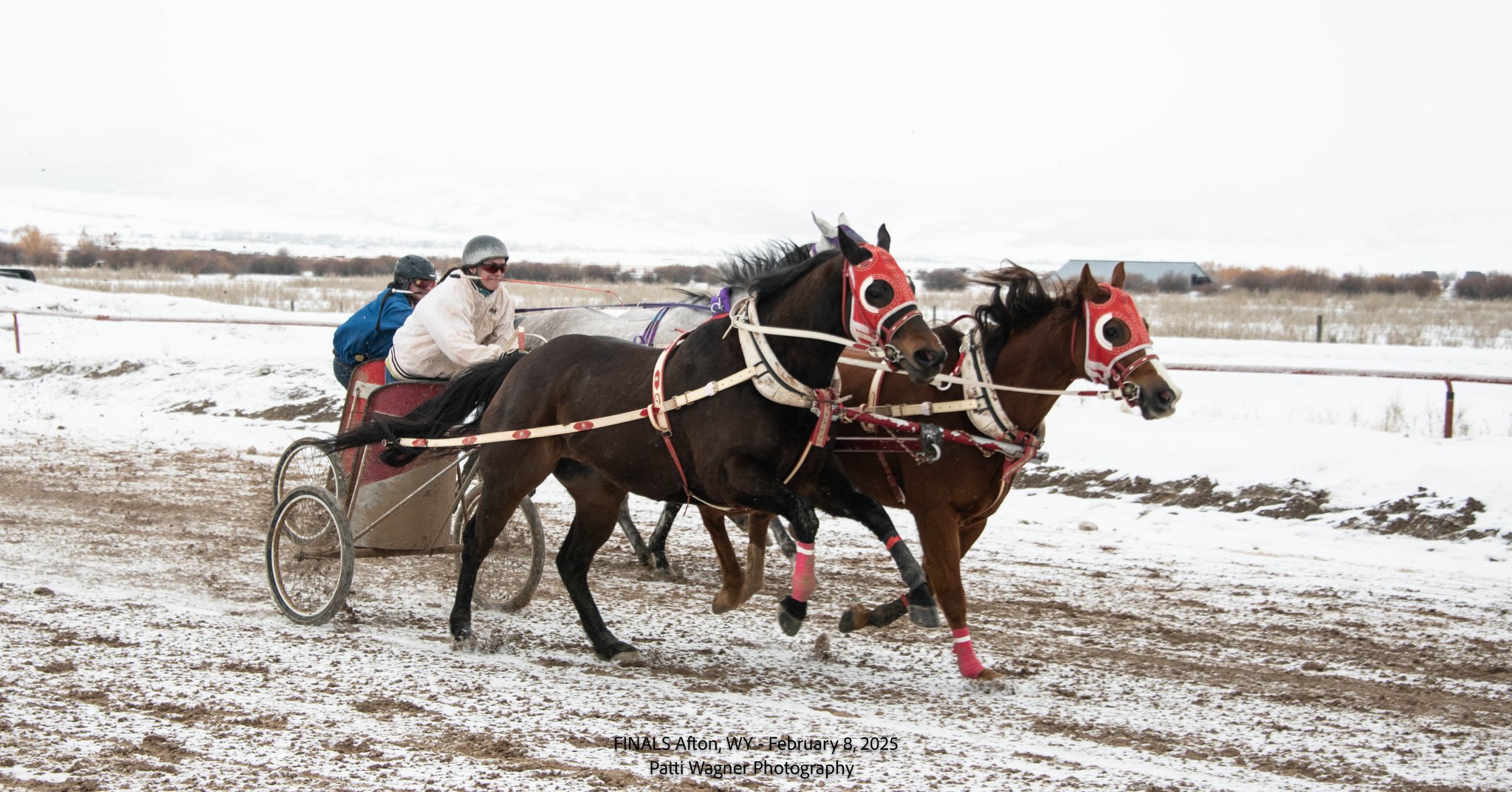 All American Cutter/Chariot Races - Afton, WY | Afton WY