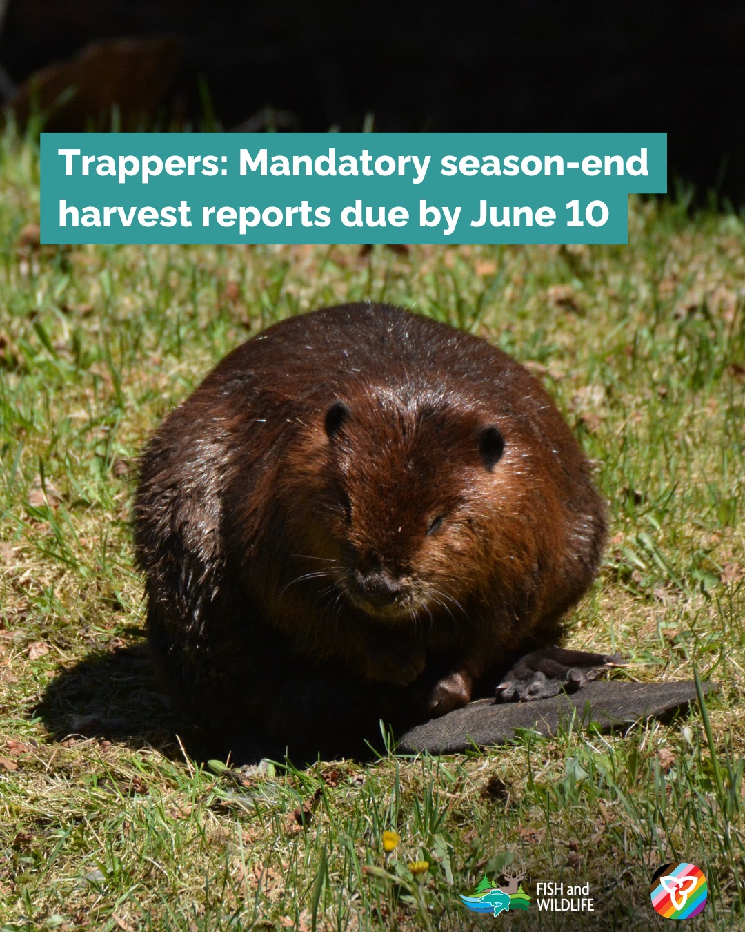Important reminder for all... - Ontario Fish and Wildlife | Facebook