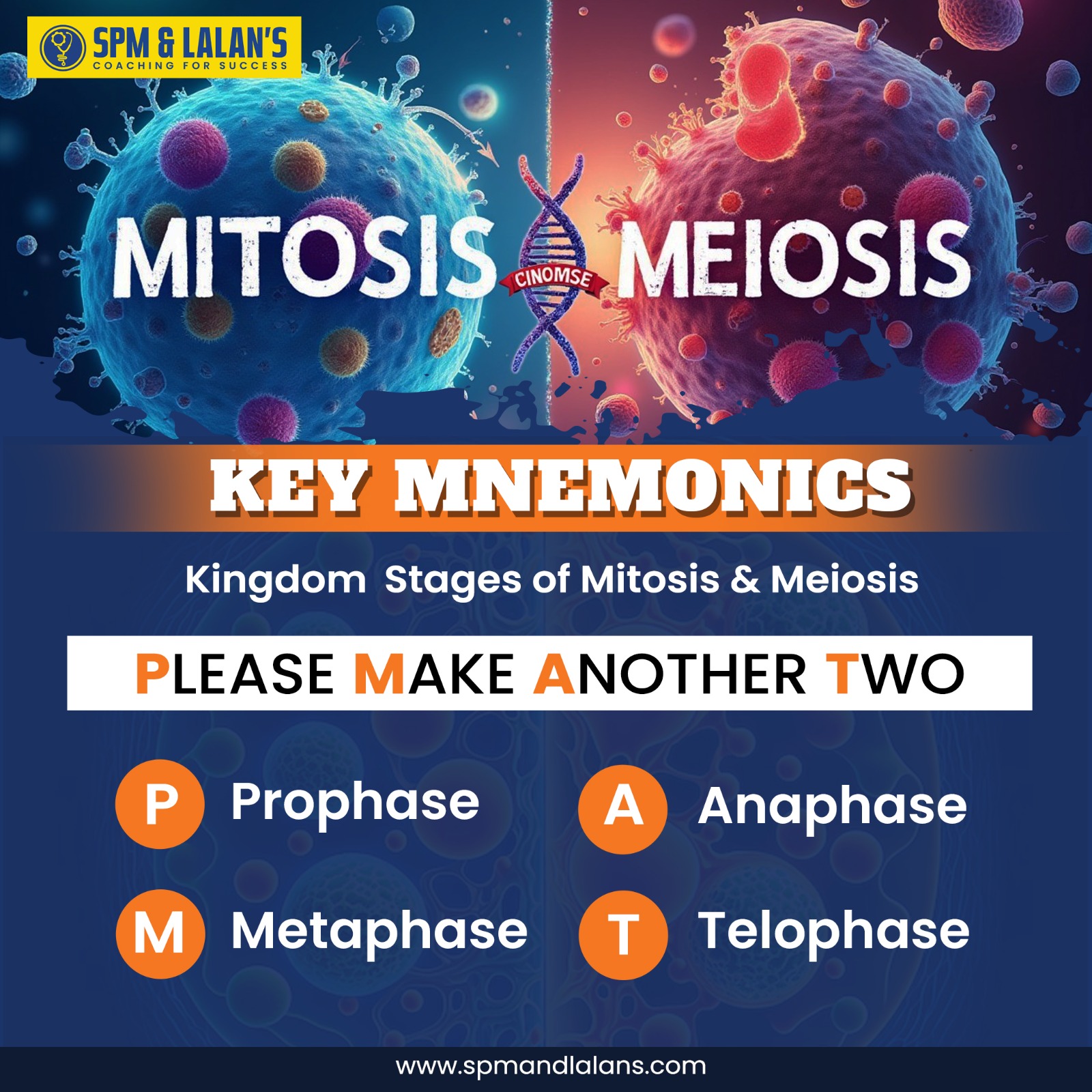 SPM - KEY Mnemonics for Cell Division 🔬 🧪 Mitosis & Meiosis are crucial ...