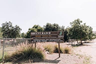 Fruit Picking Continues at Orcutt... - Valley Relics Museum | Facebook