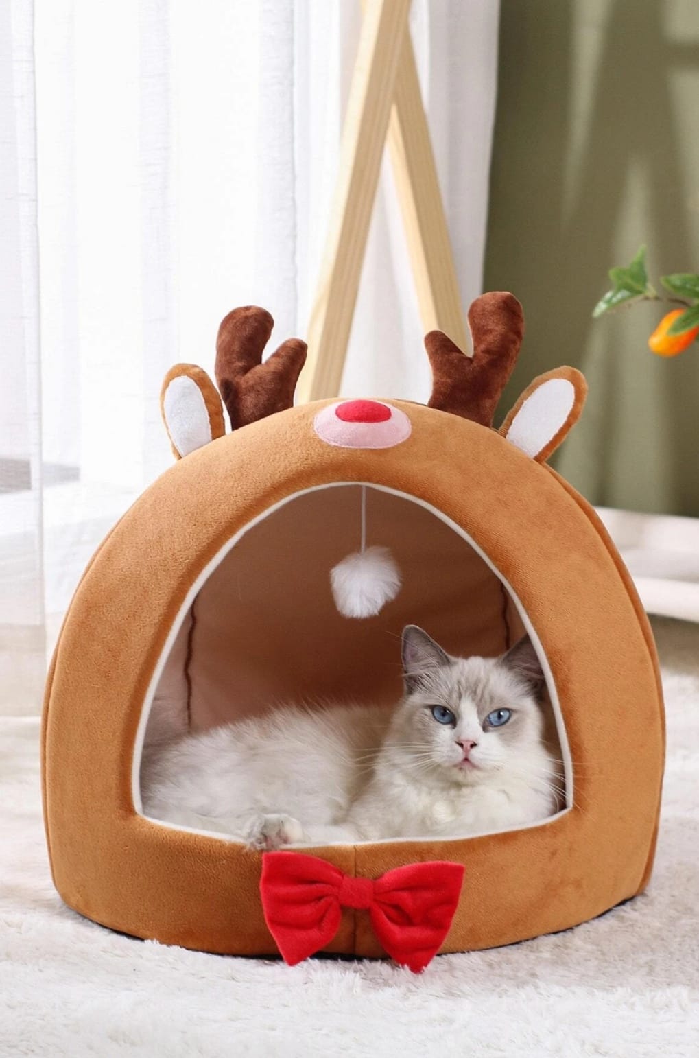 Mundo - No puede ser más adorable esta camita de reno para gatos 😍😍 con ...