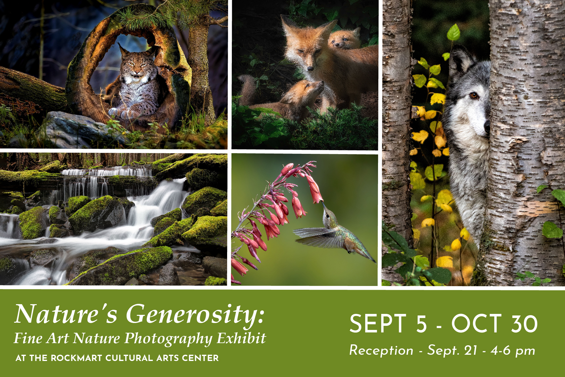 Rockmart - Nature's Generosity: Fine Art Nature Photography Exhibit at ...