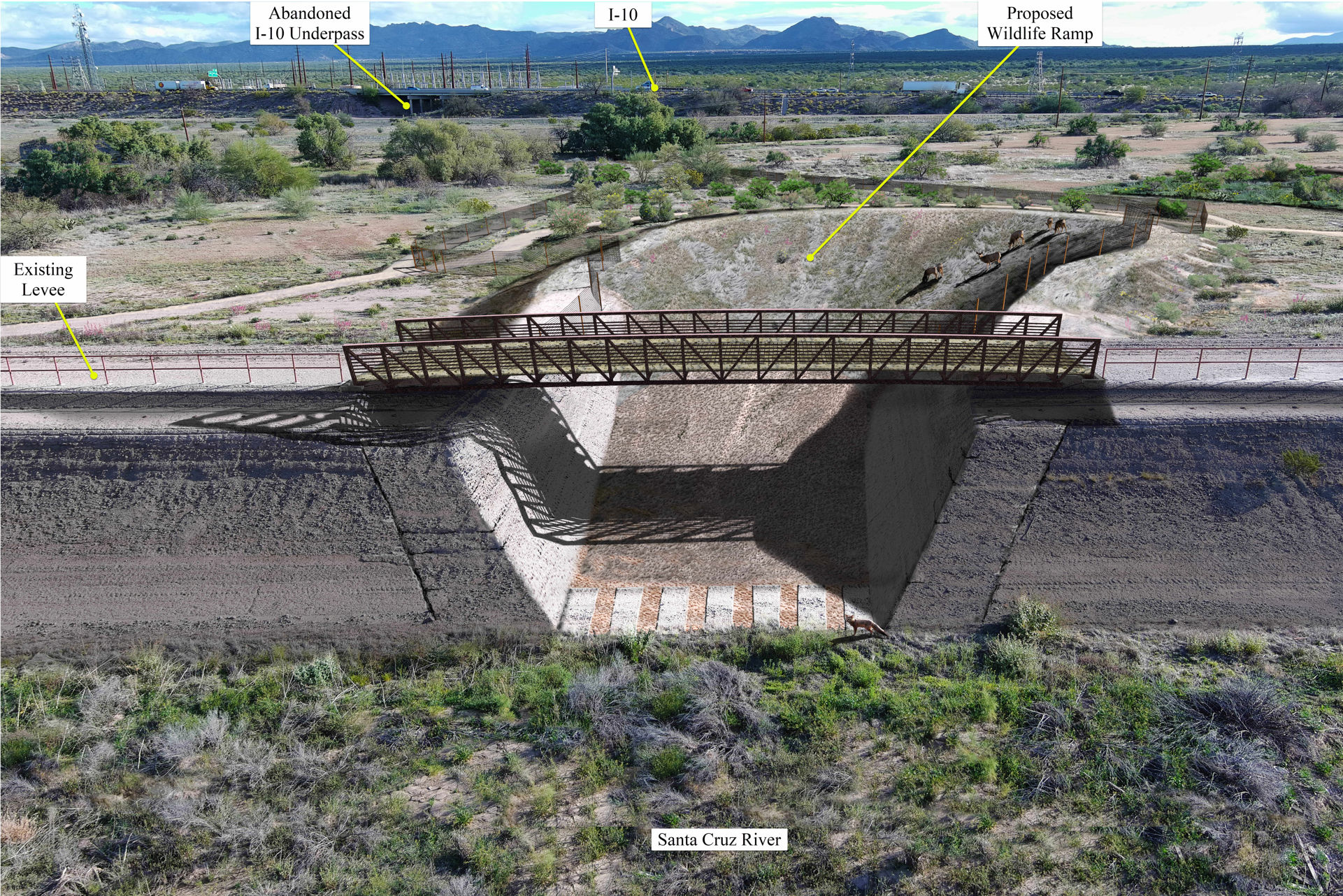 Wildlife Crossings
