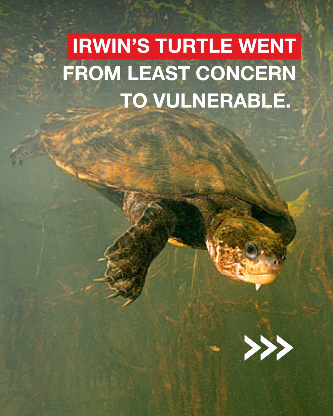 Queensland Conservation... - Queensland Conservation Council