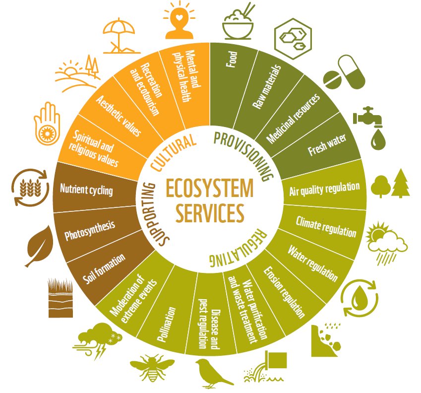 🧲 Payment for Ecosystem Services (PES) This concept uses economic