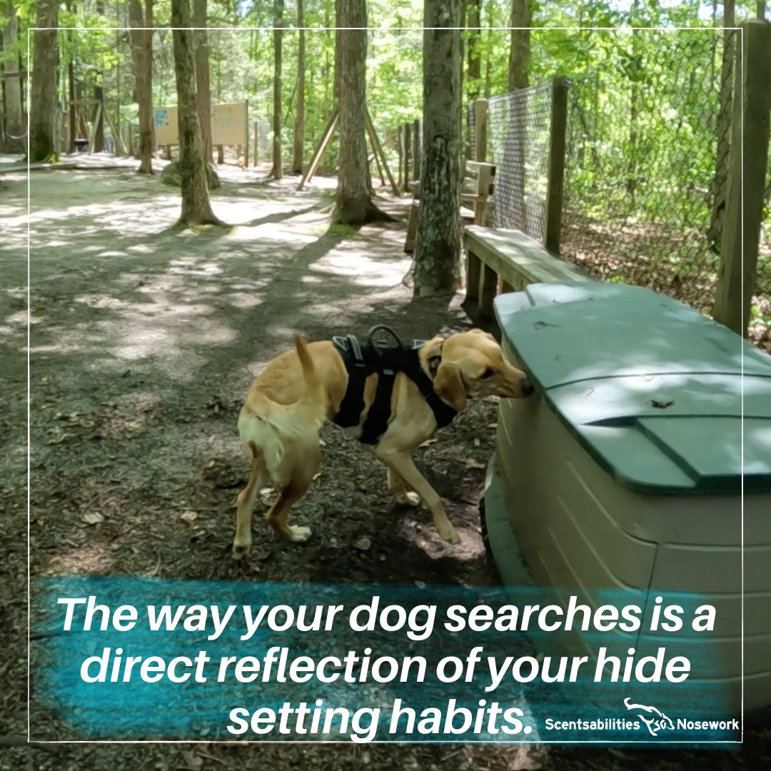 Scentsabilities - Our dogs are creatures of pattern... they, like us ...