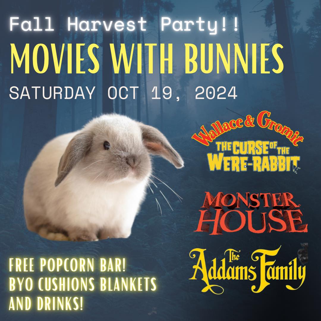 White Rabbit Events