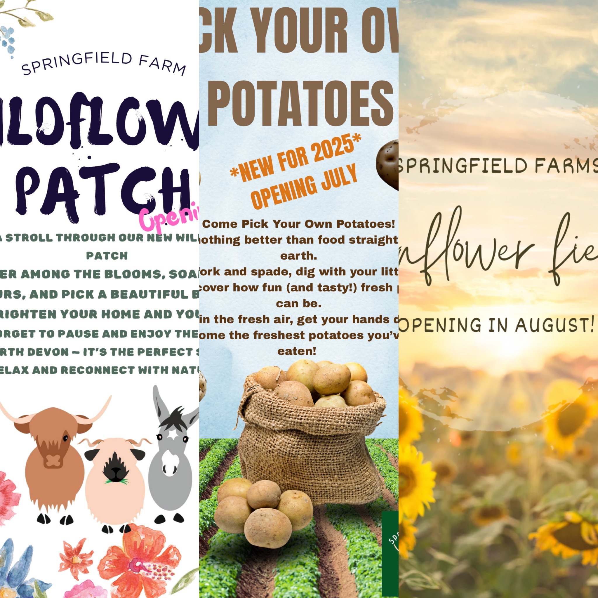 Springfield Farm’s Summer Pick and Play