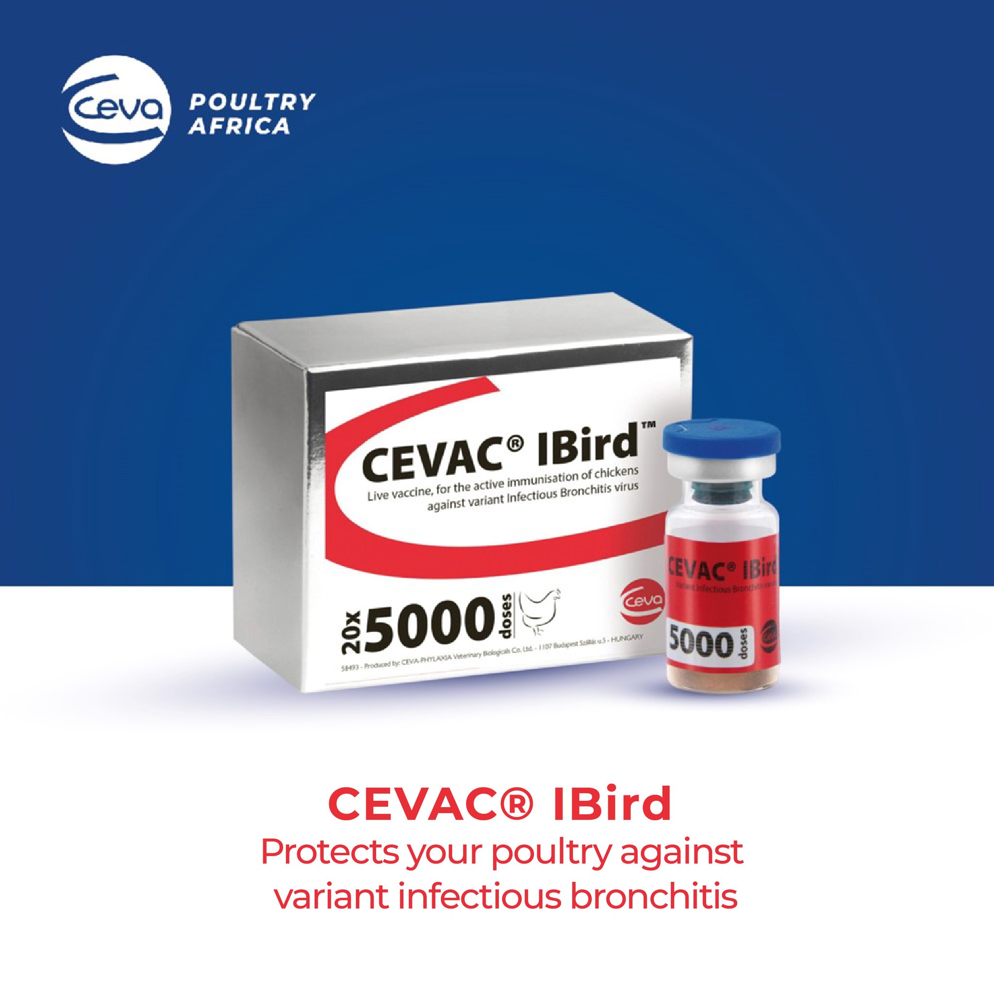 Ceva - Hatchery vaccination provides early protection against ...