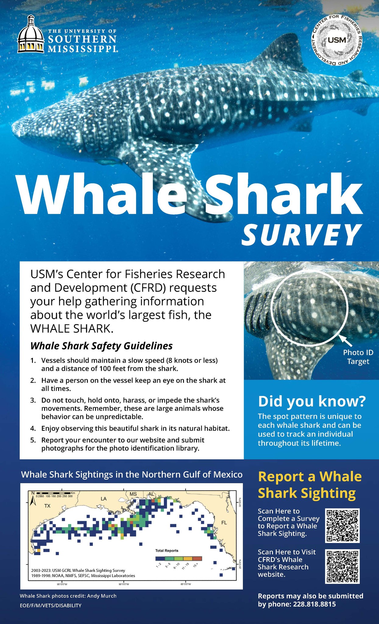 USM Whale Shark Research | Ocean Springs MS
