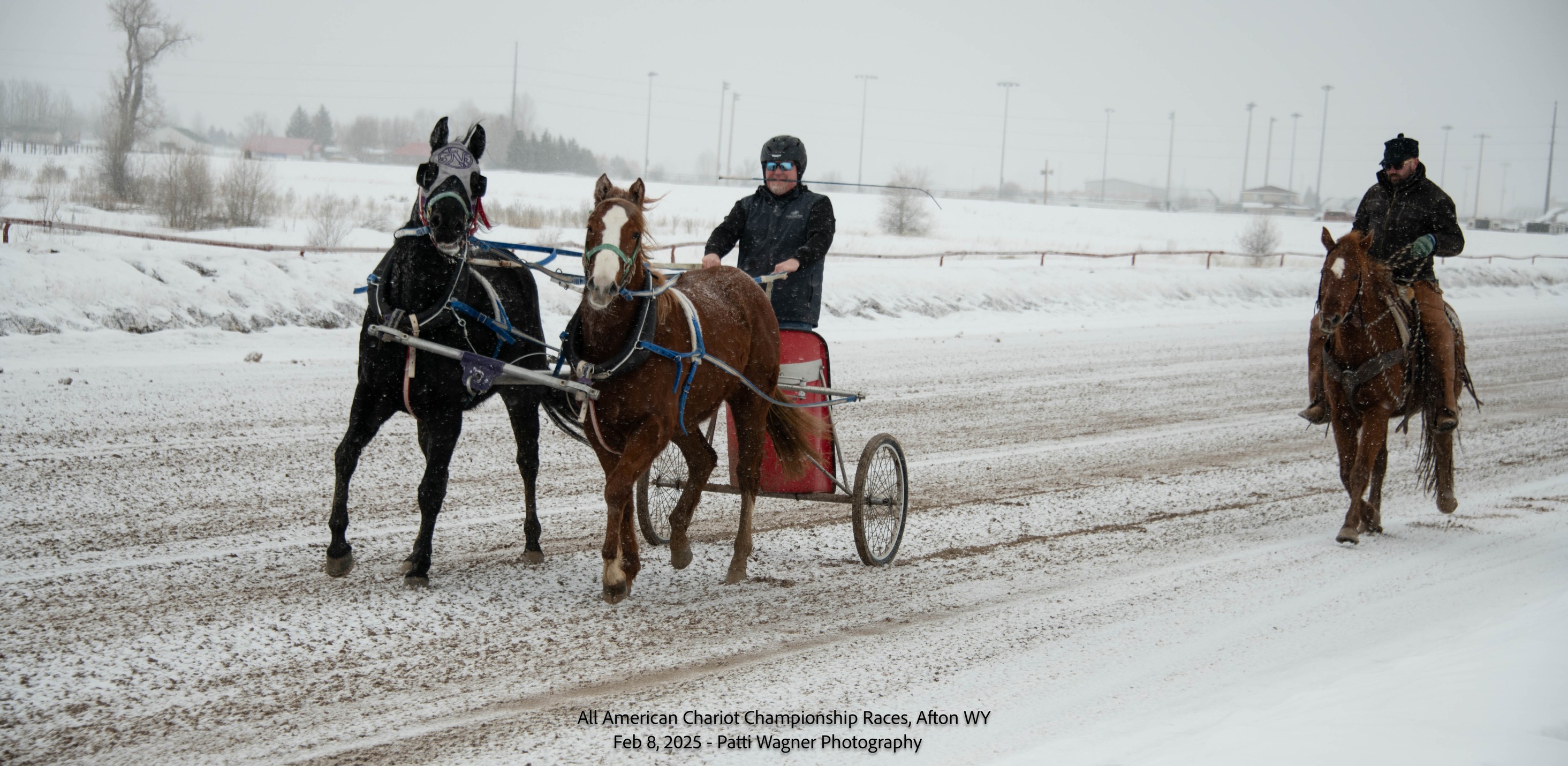 All American Cutter/Chariot Races - Afton, WY | Afton WY