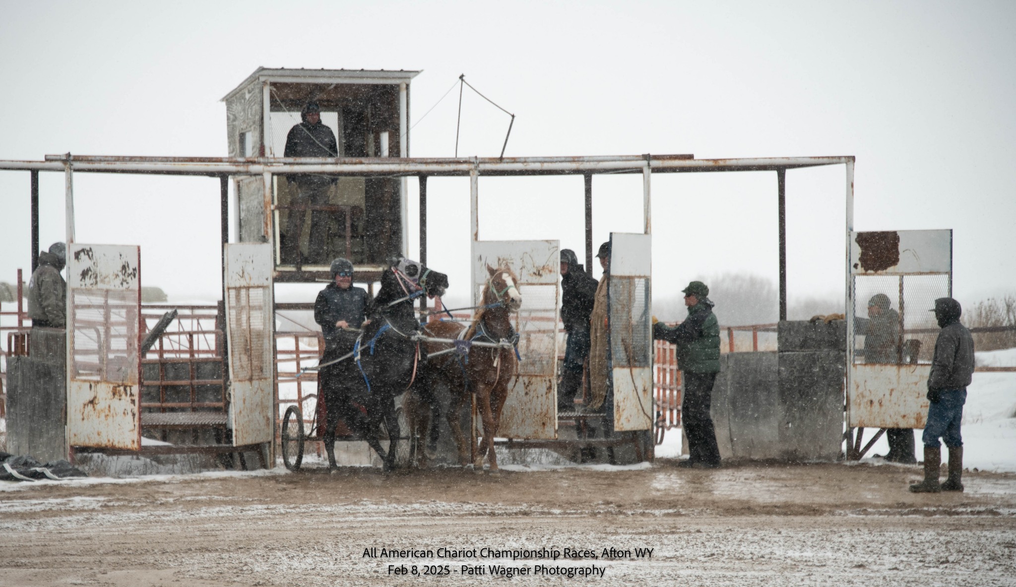 All American Cutter/Chariot Races - Afton, WY | Afton WY