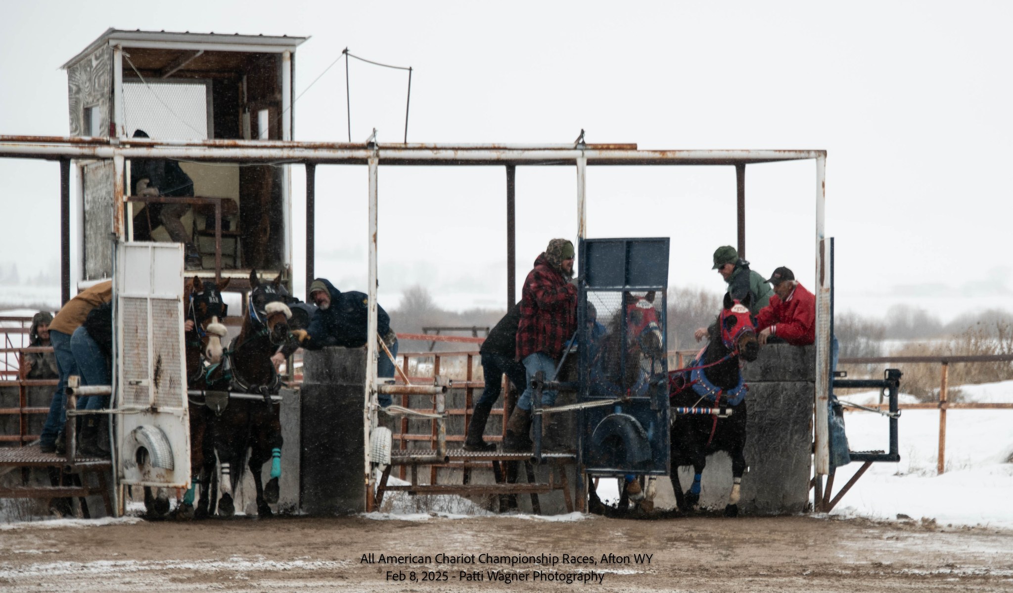 All American Cutter/Chariot Races - Afton, WY | Afton WY