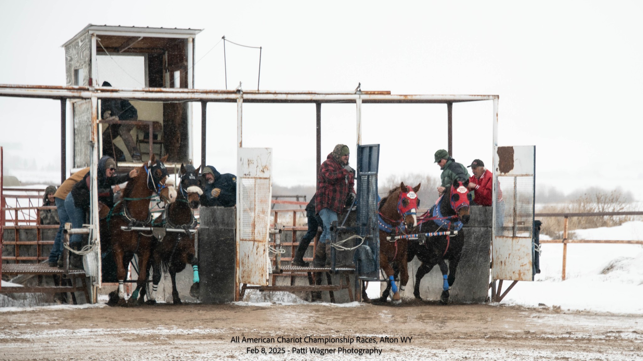 All American Cutter/Chariot Races - Afton, WY | Afton WY