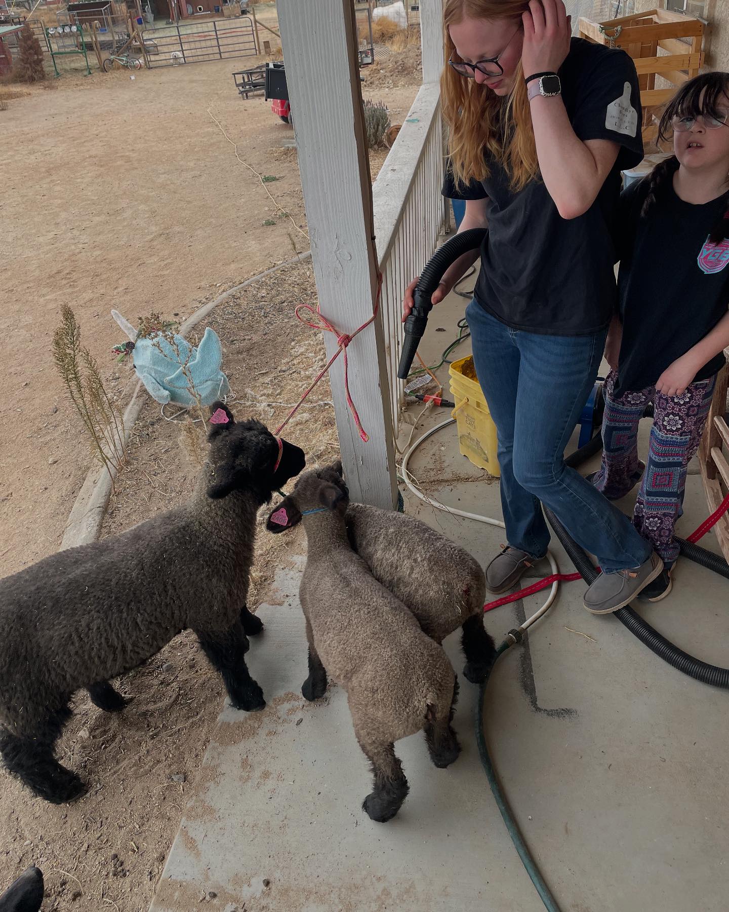The Clanton Family Farm
