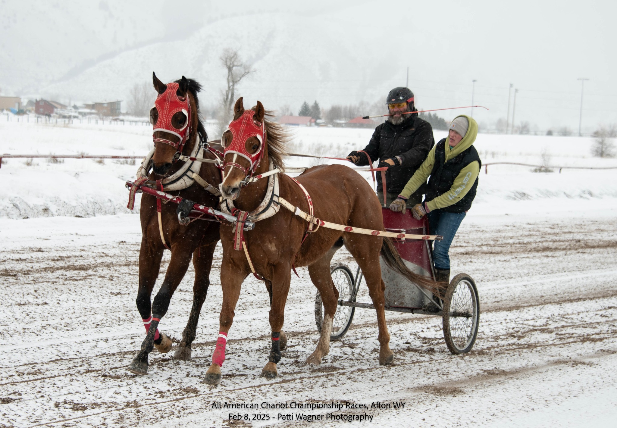 All American Cutter/Chariot Races - Afton, WY | Afton WY