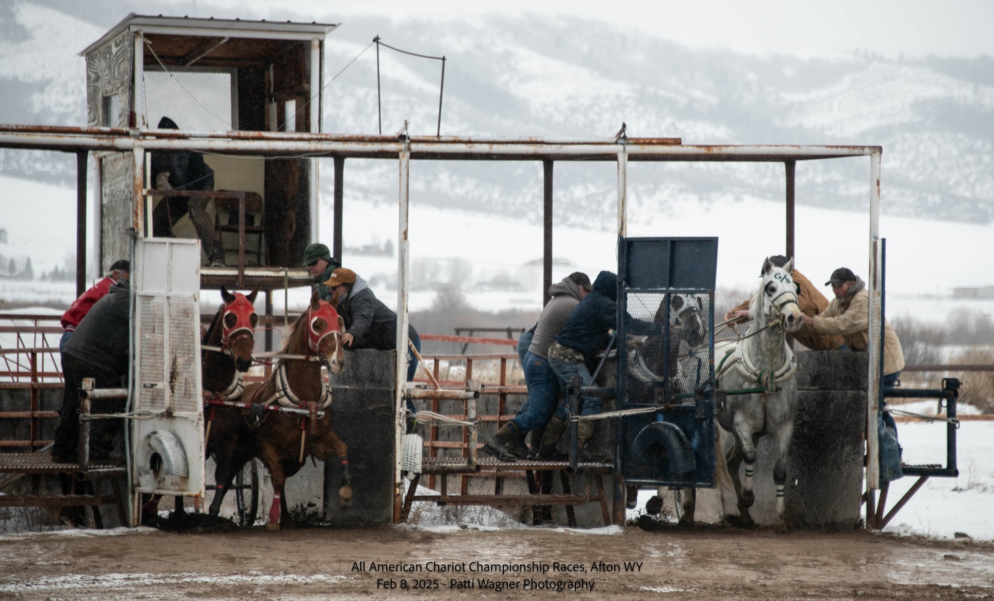 All American Cutter/Chariot Races - Afton, WY | Afton WY